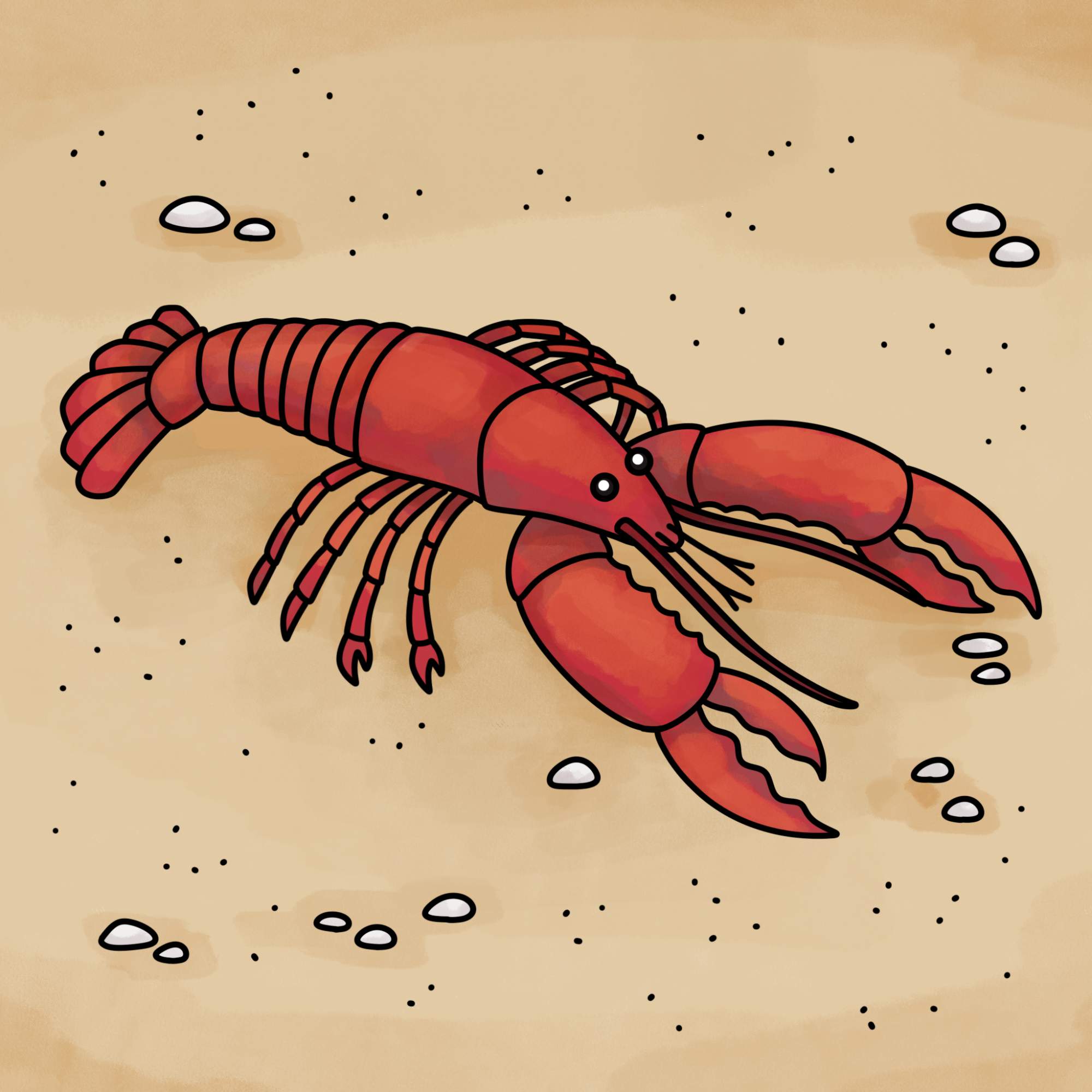 Lobster Drawing - Step-18