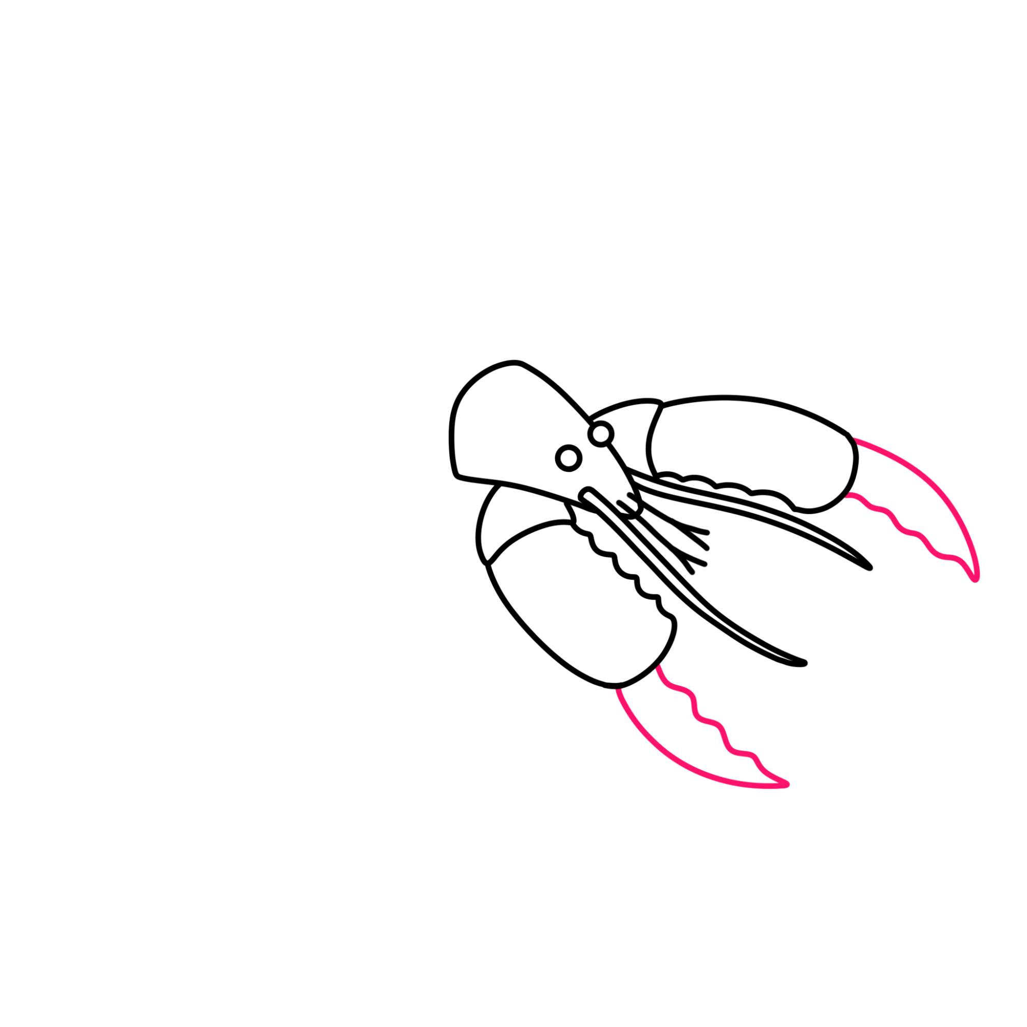 Lobster Drawing - Step-7