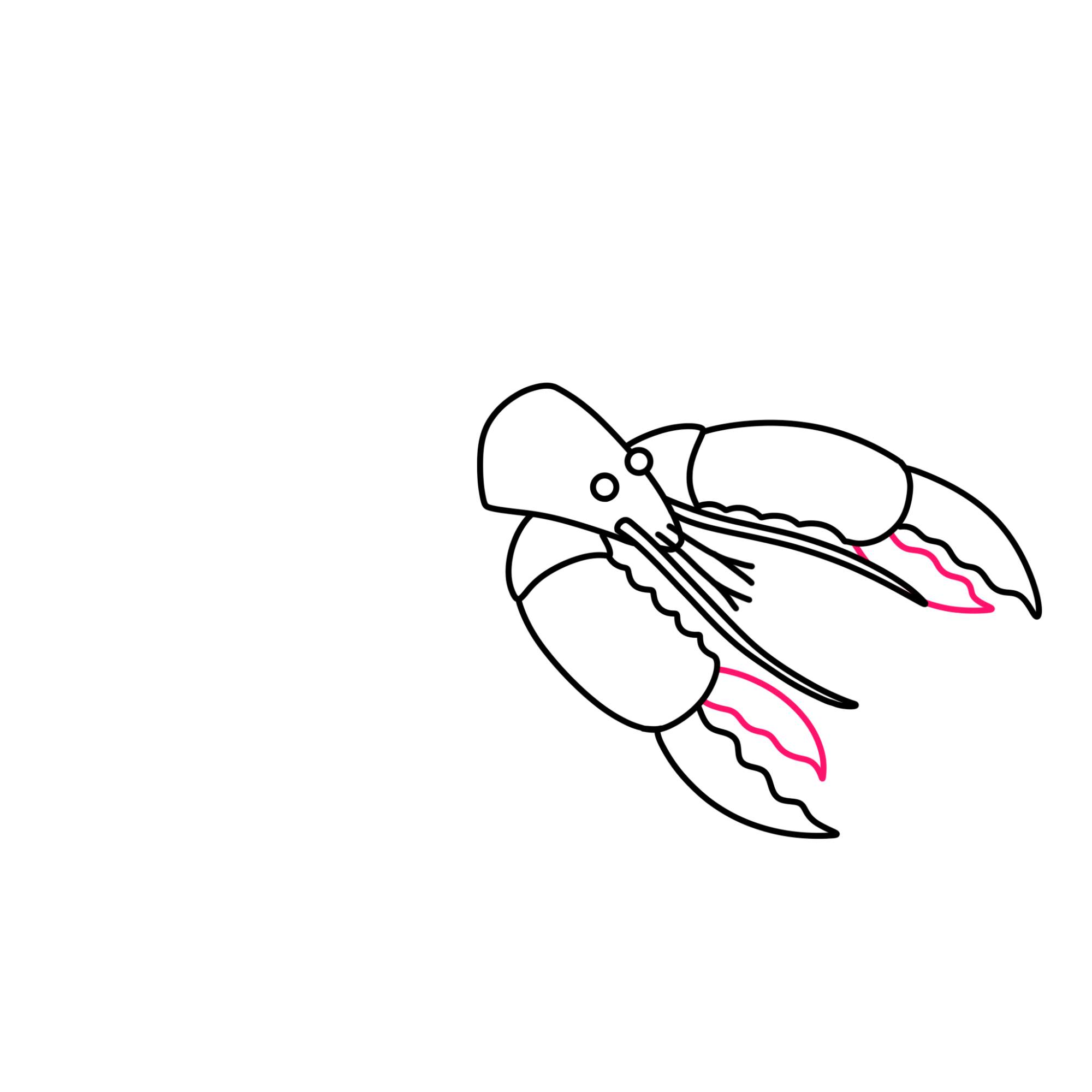 Lobster Drawing - Step-8