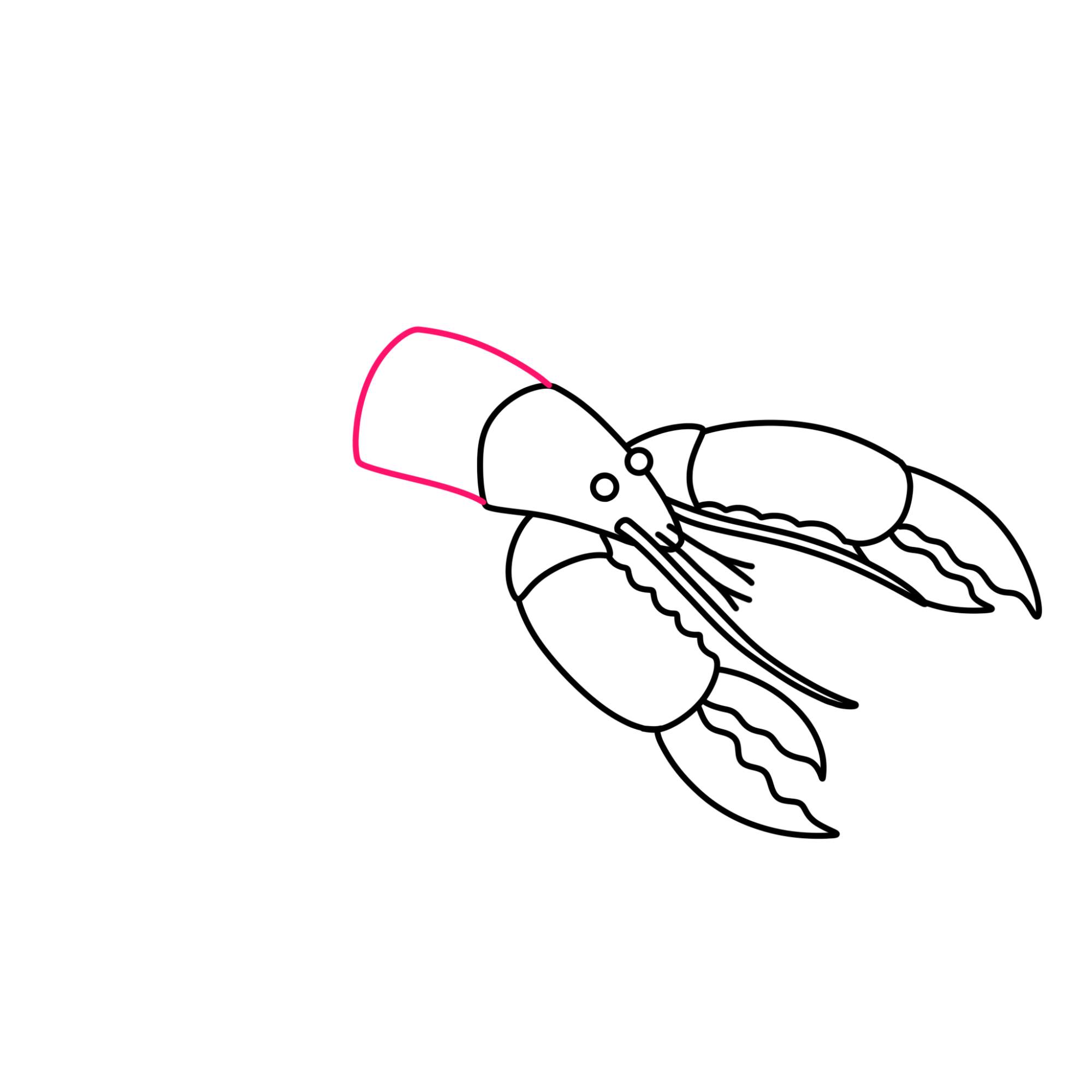 Lobster Drawing - Step-9