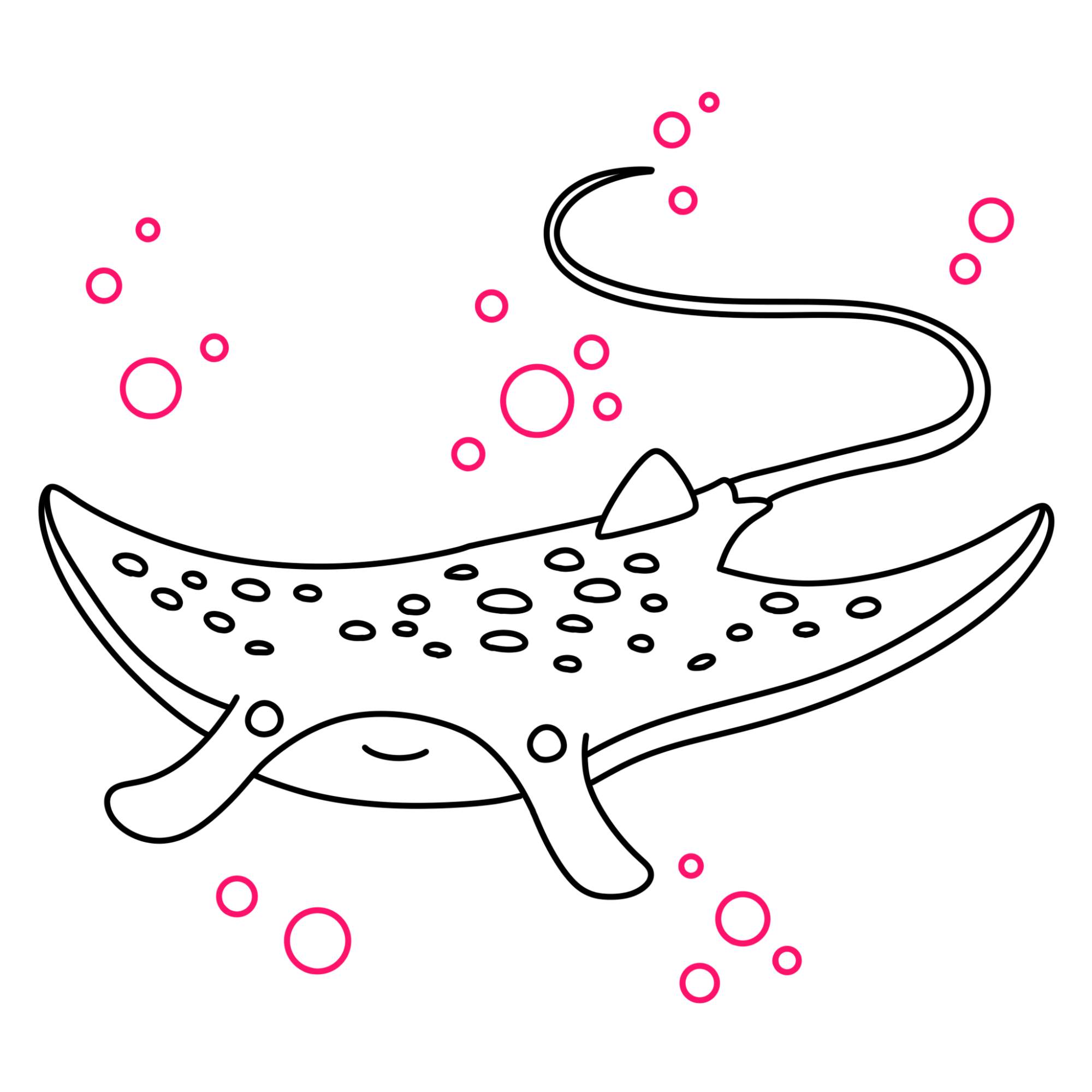 Manta Ray Drawing - Step-11