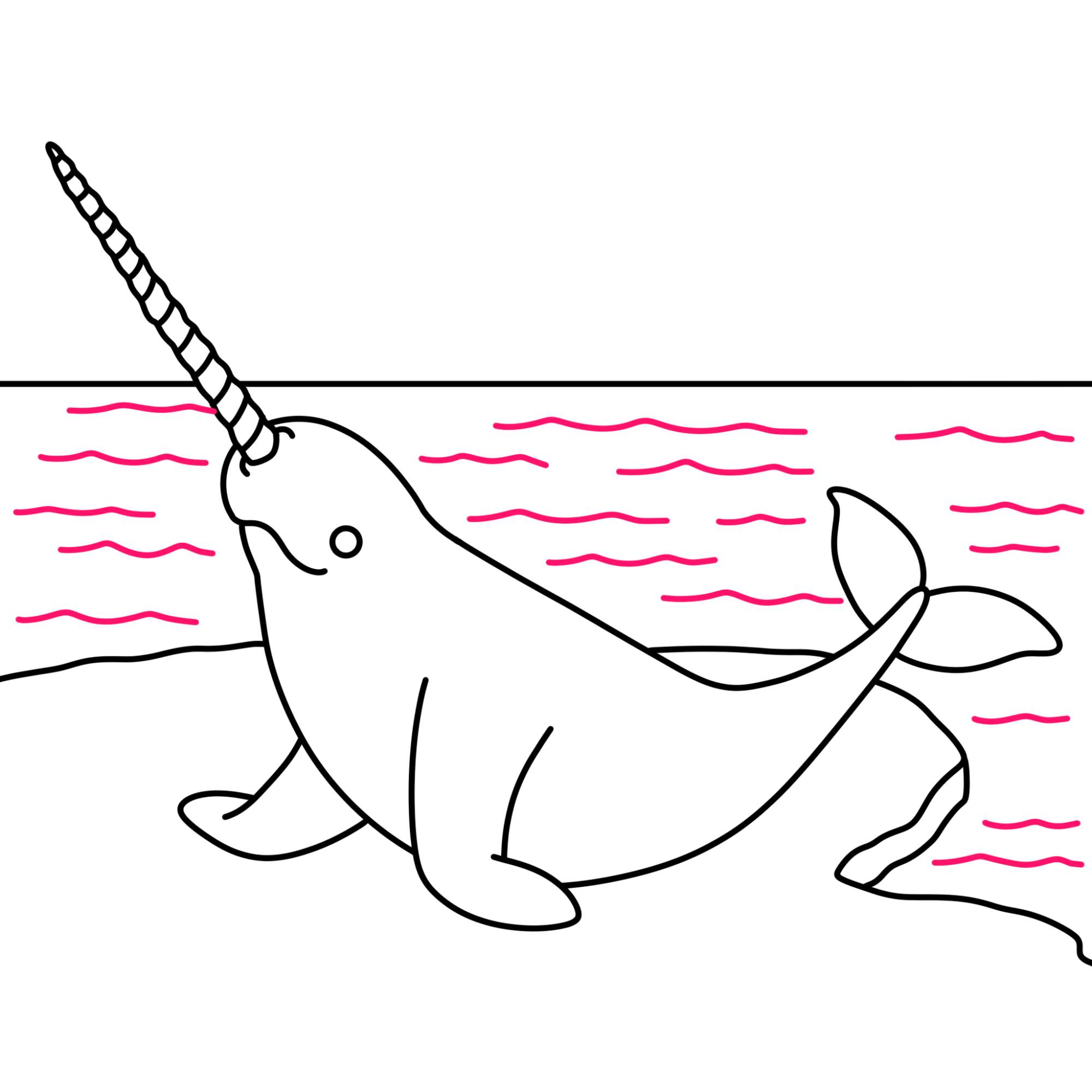 Narwhal Drawing - Step-10