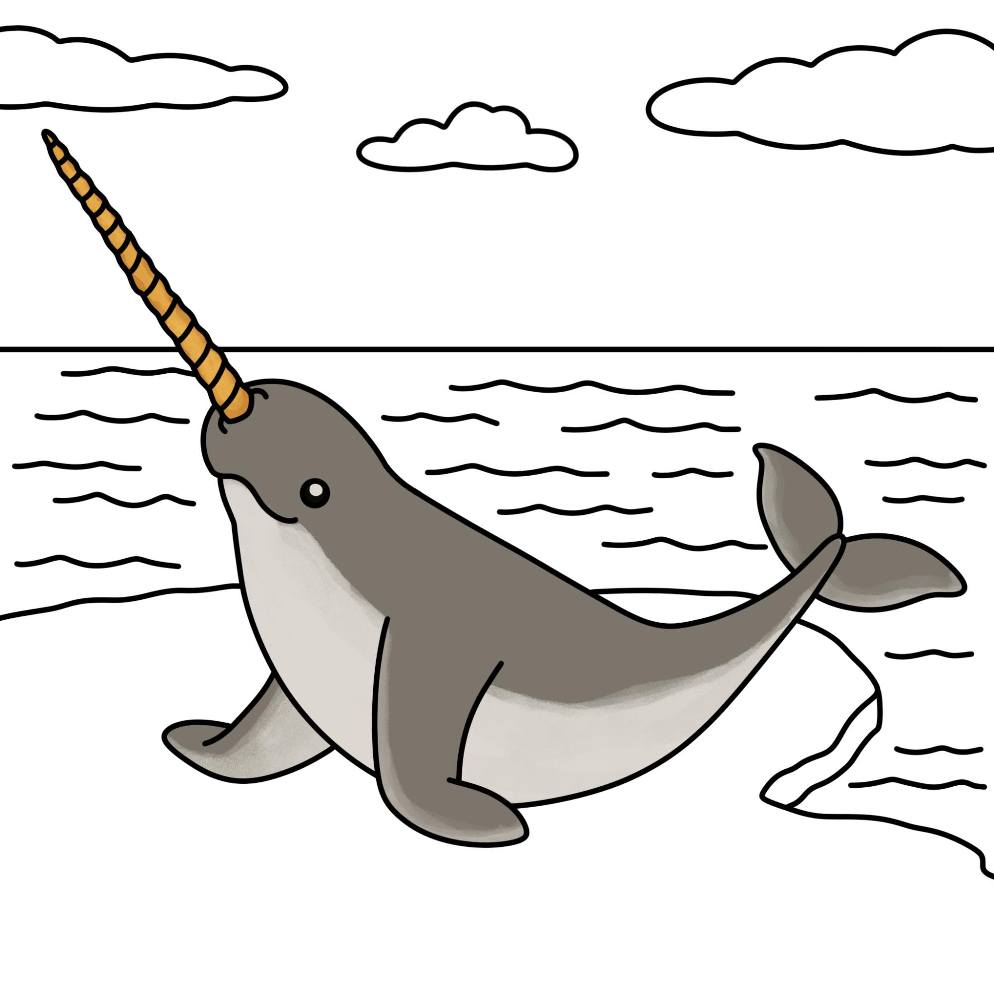 Narwhal Drawing - Step-12