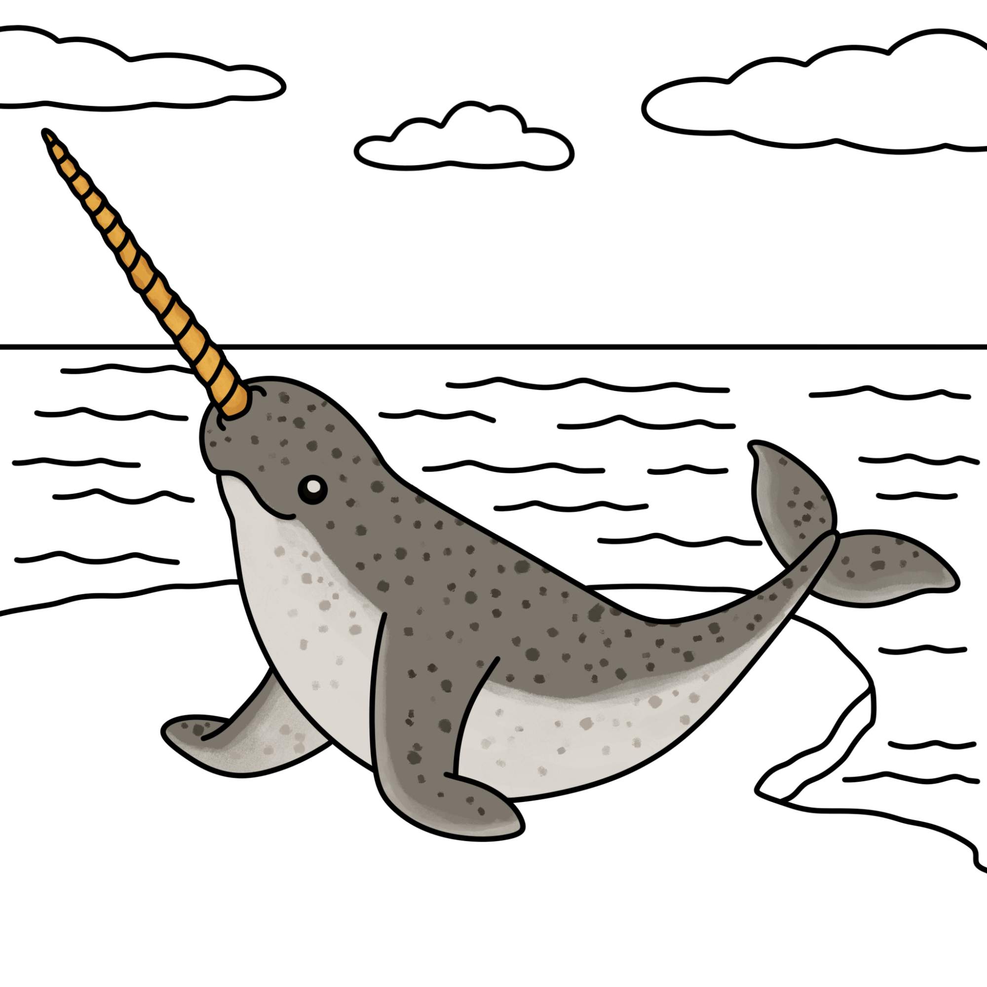 Narwhal Drawing - Step-13