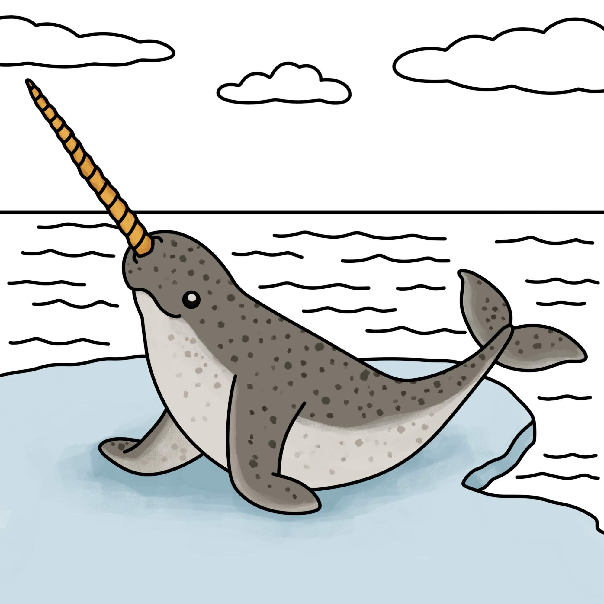 Narwhal Drawing - Step-14