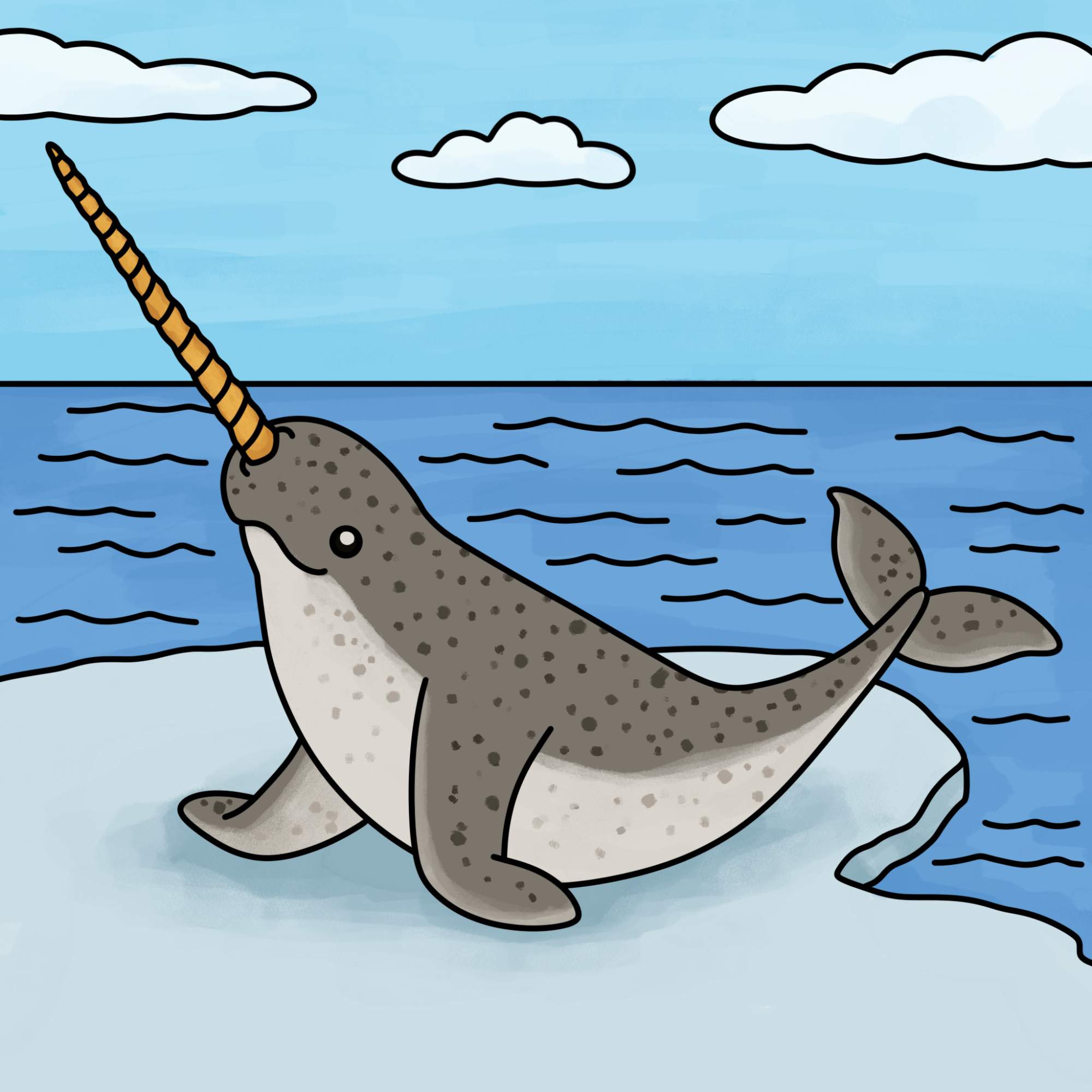 Narwhal Drawing - Step-15