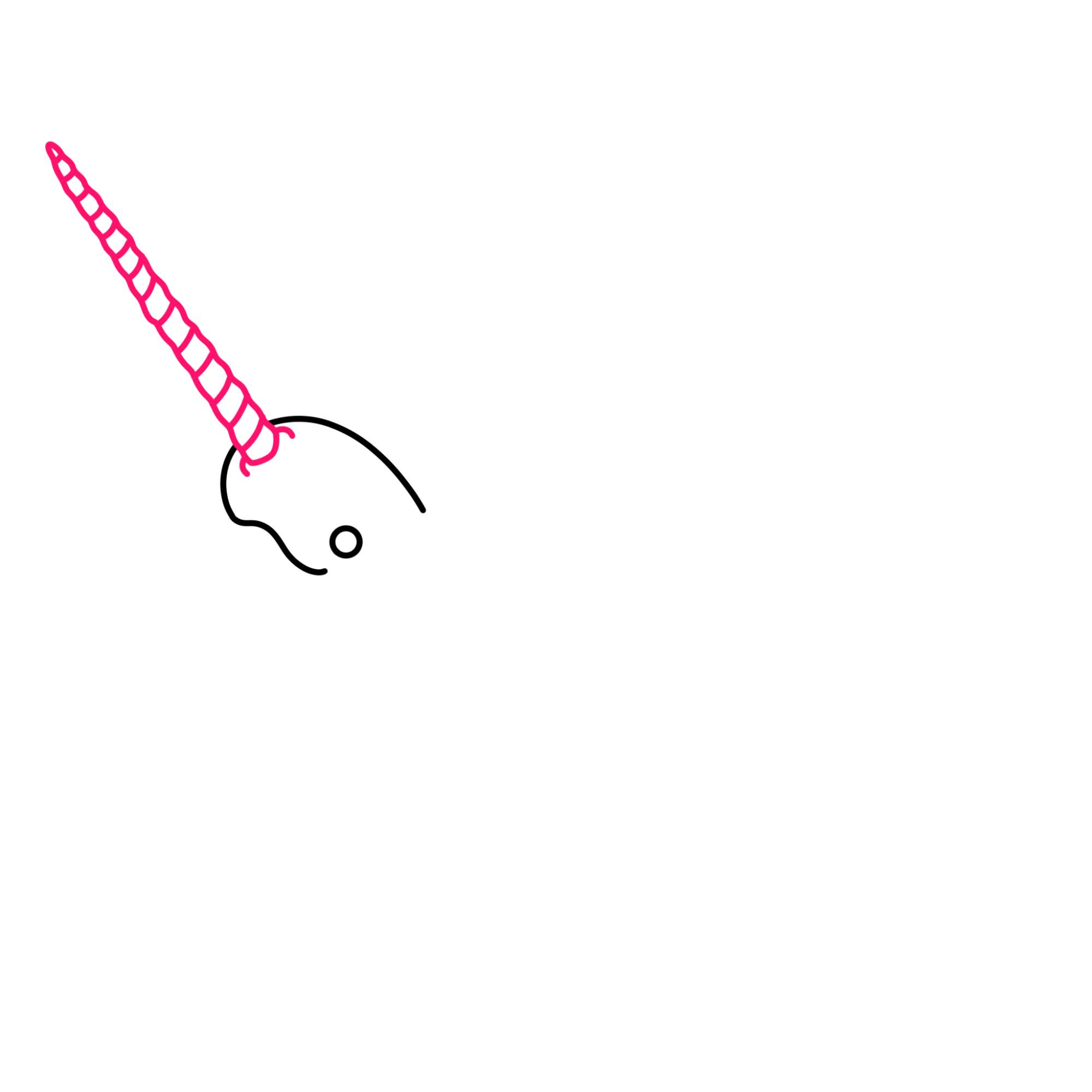 Narwhal Drawing - Step-4