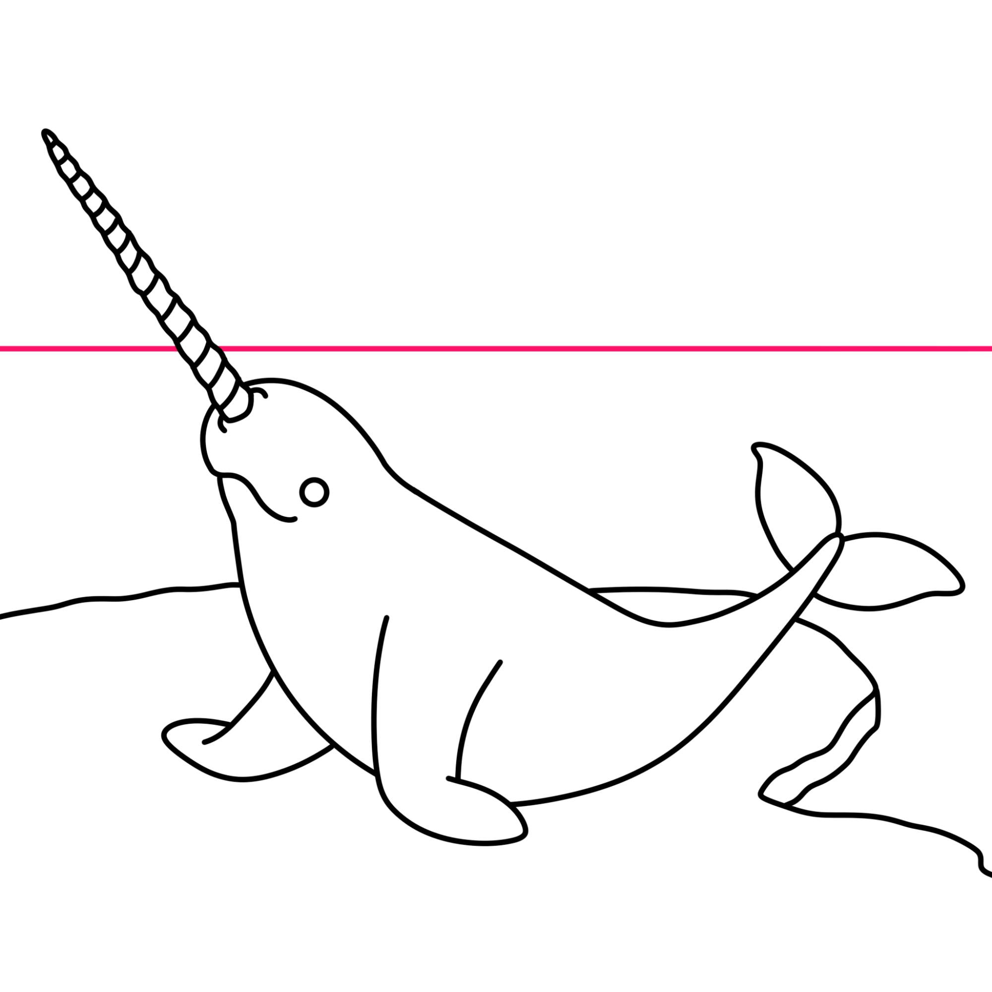 Narwhal Drawing - Step-9