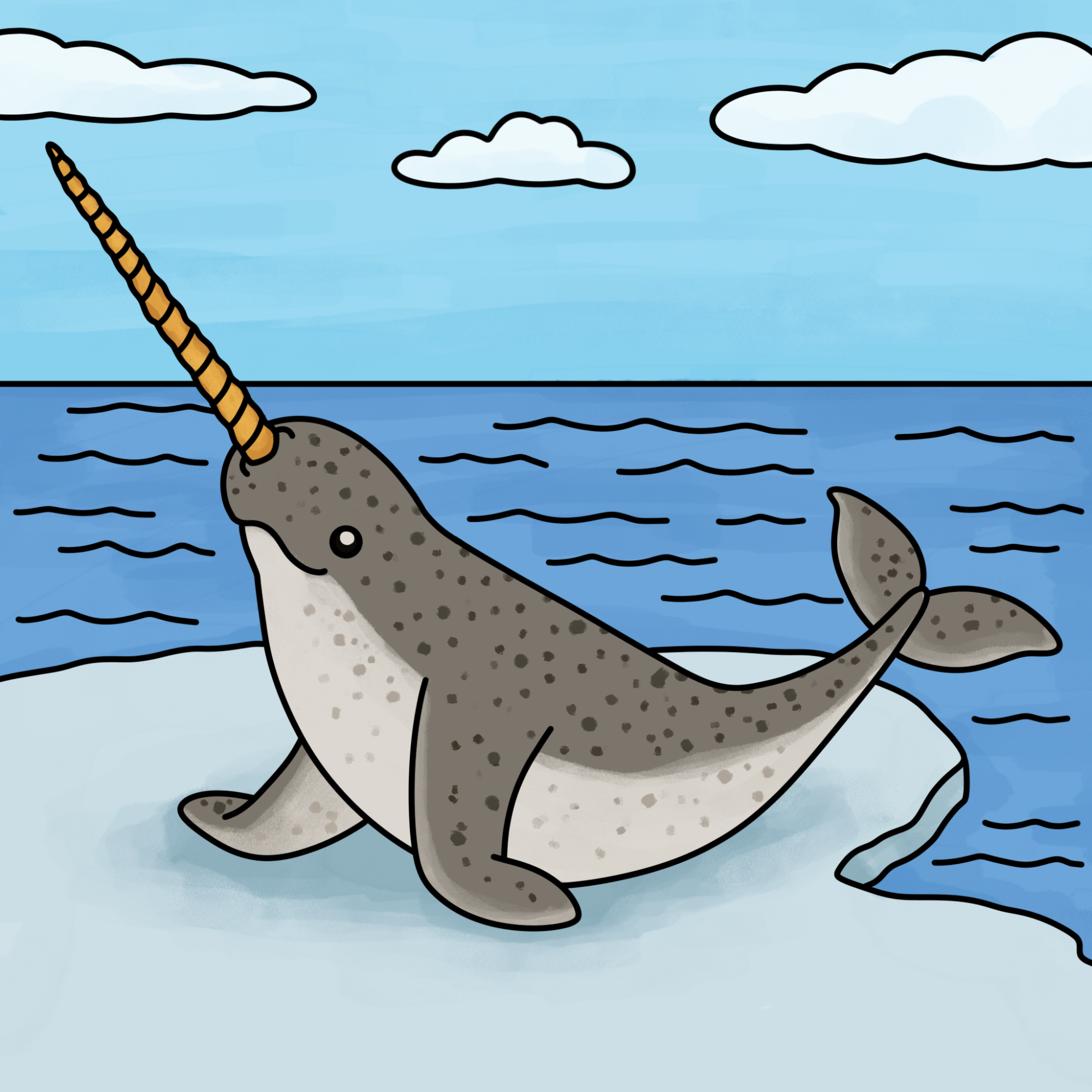 Narwhal Drawing