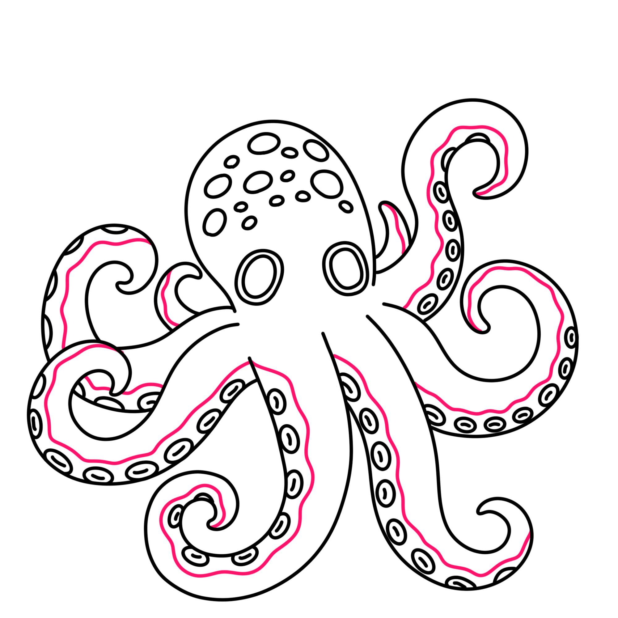 Octopus Drawing (easy) - Step-8