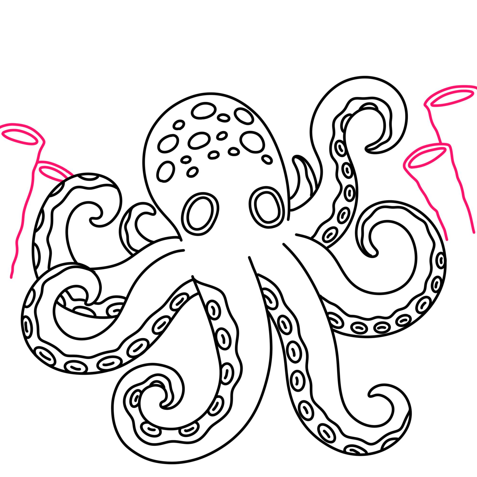 Octopus Drawing (easy) - Step-9