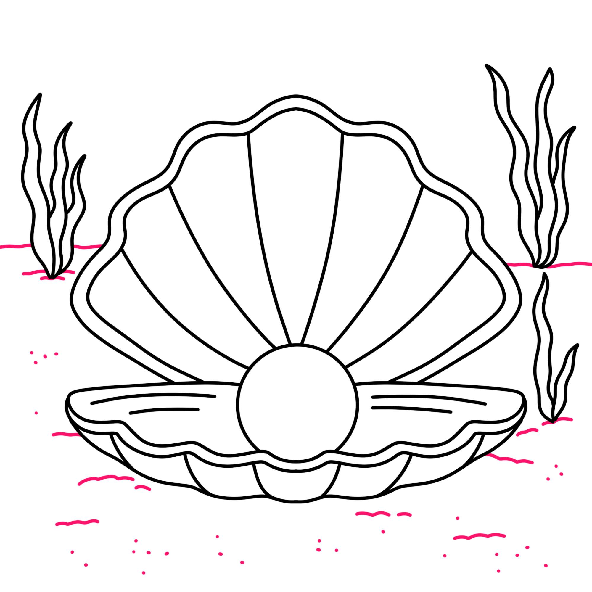 Oyster with Pearl Drawing - Step-10