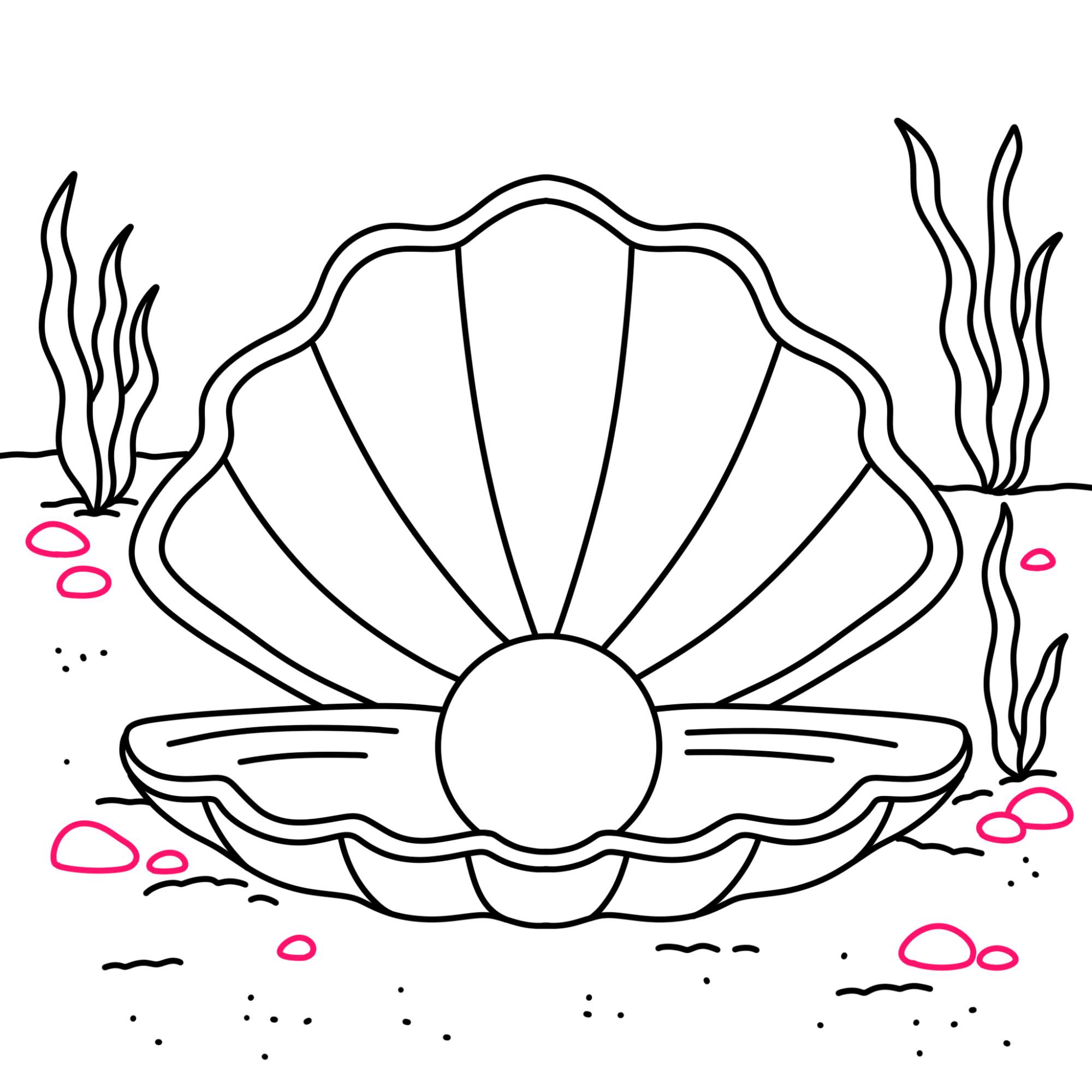 Oyster with Pearl Drawing - Step-11