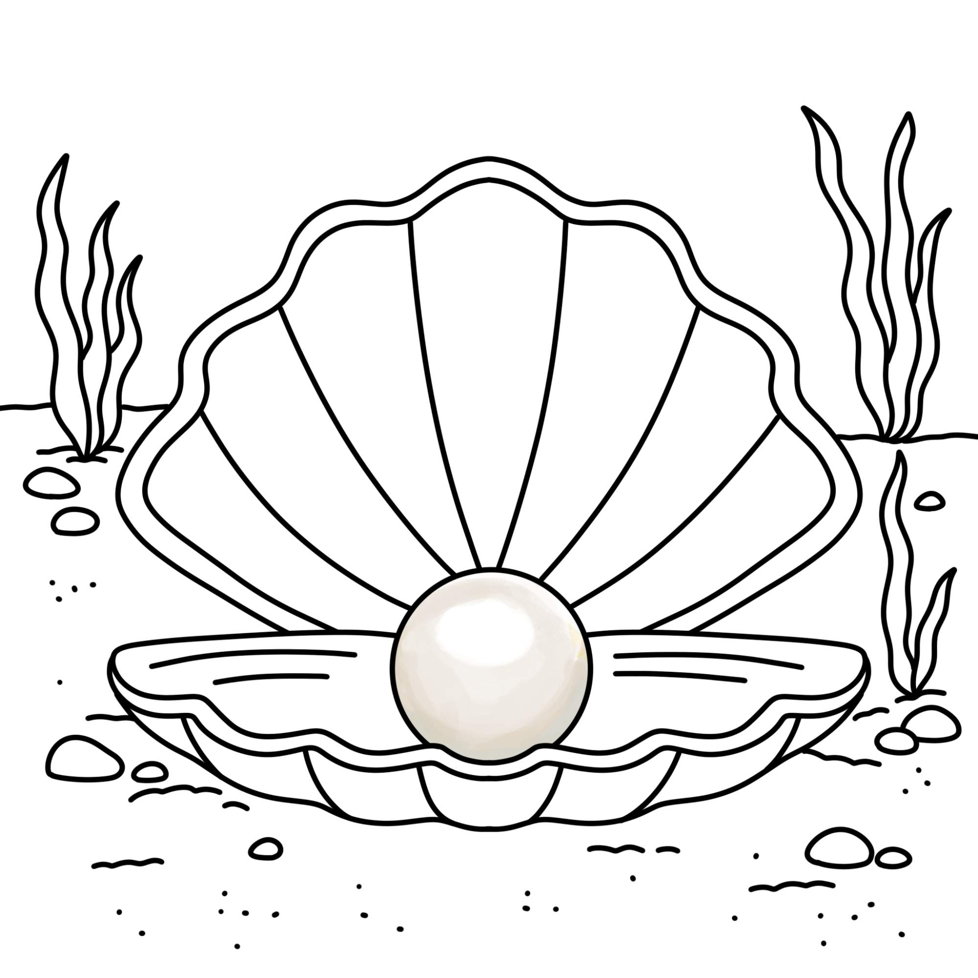 Oyster with Pearl Drawing - Step-12