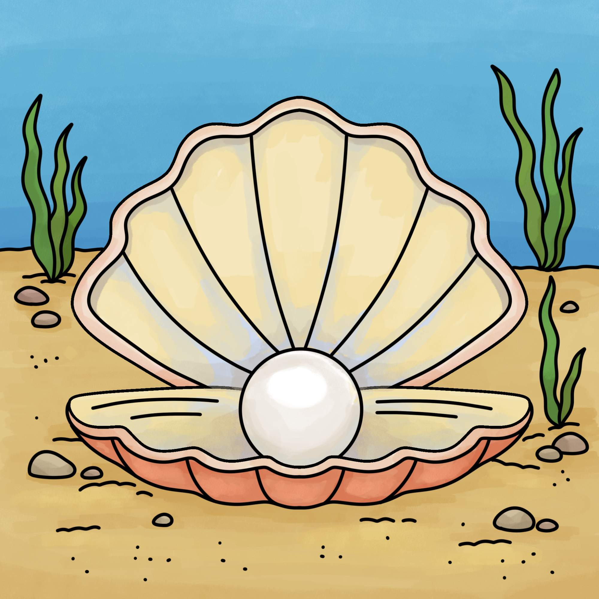 Oyster with Pearl Drawing - Step-15