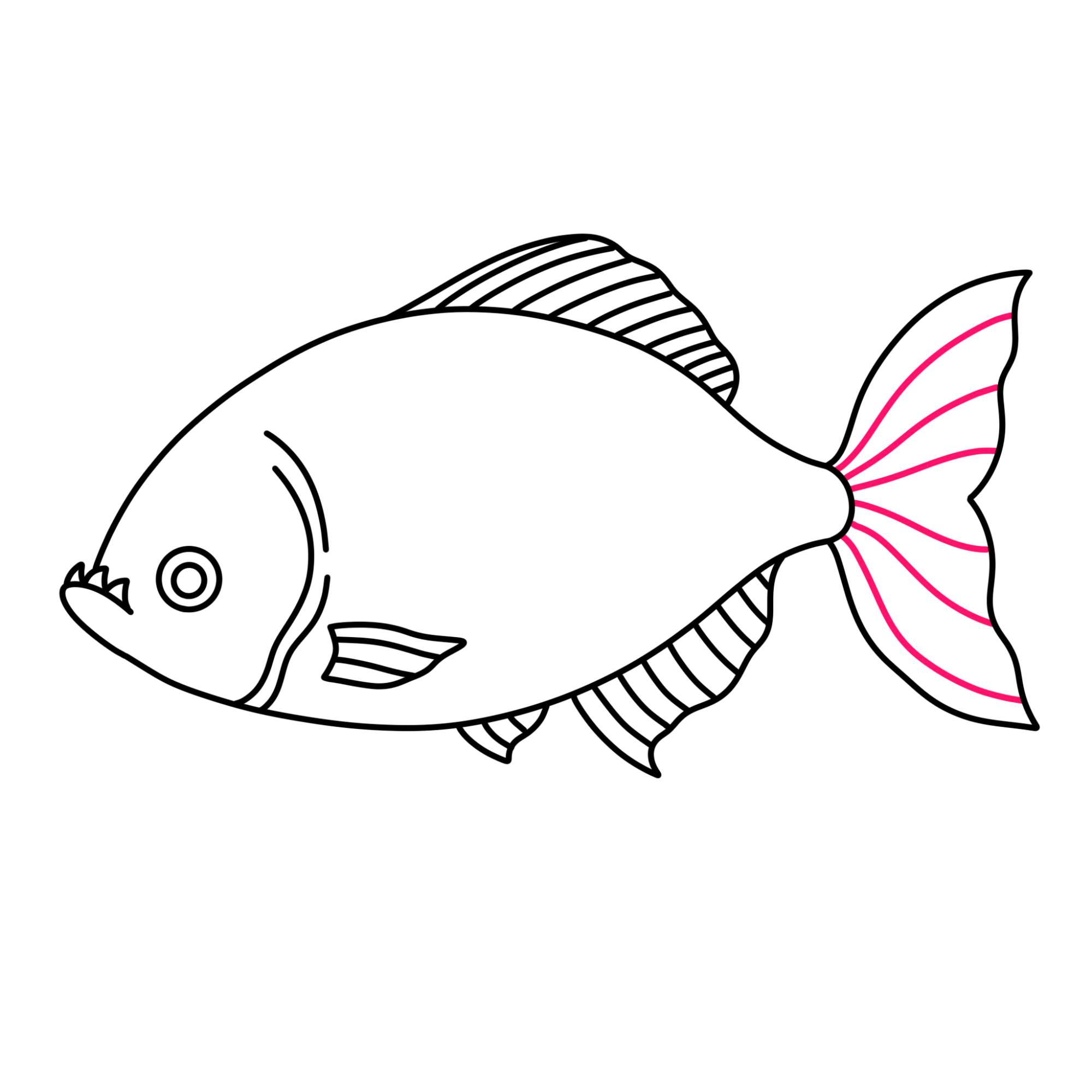 Piranha Drawing - Step-11