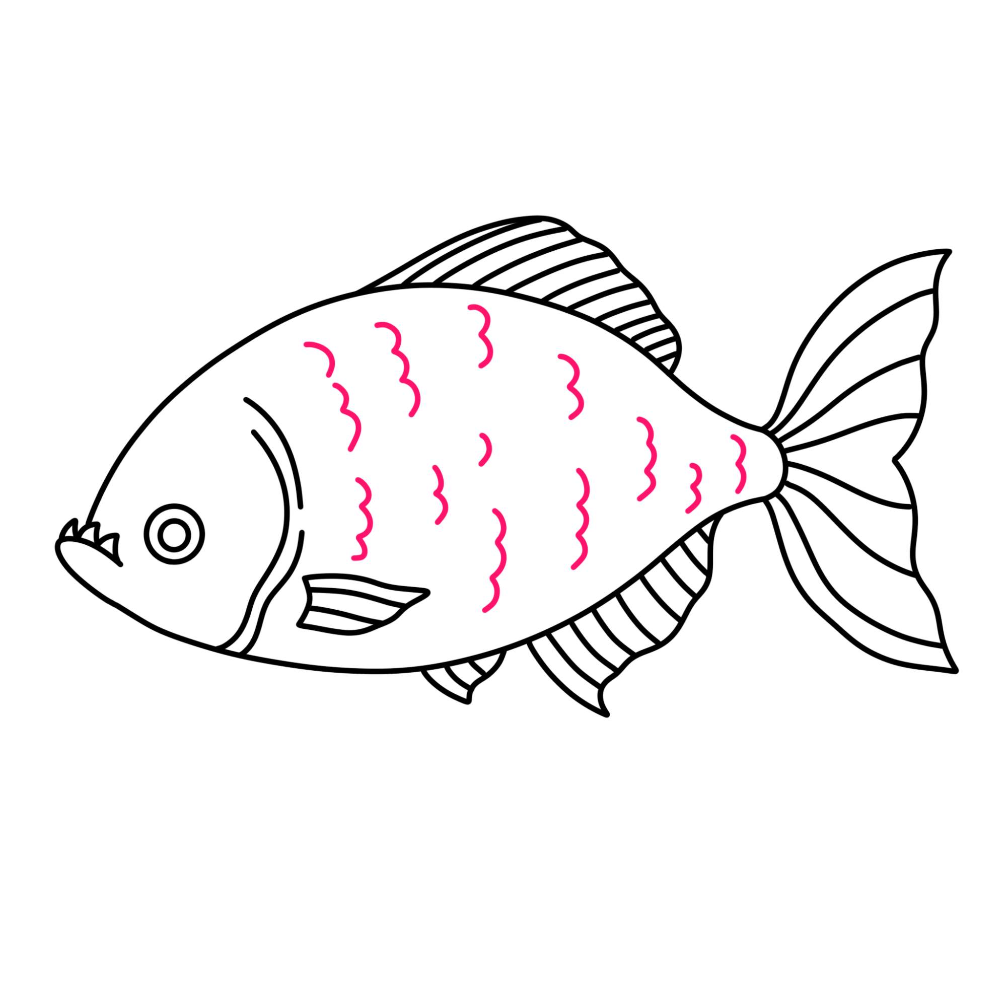 Piranha Drawing - Step-12