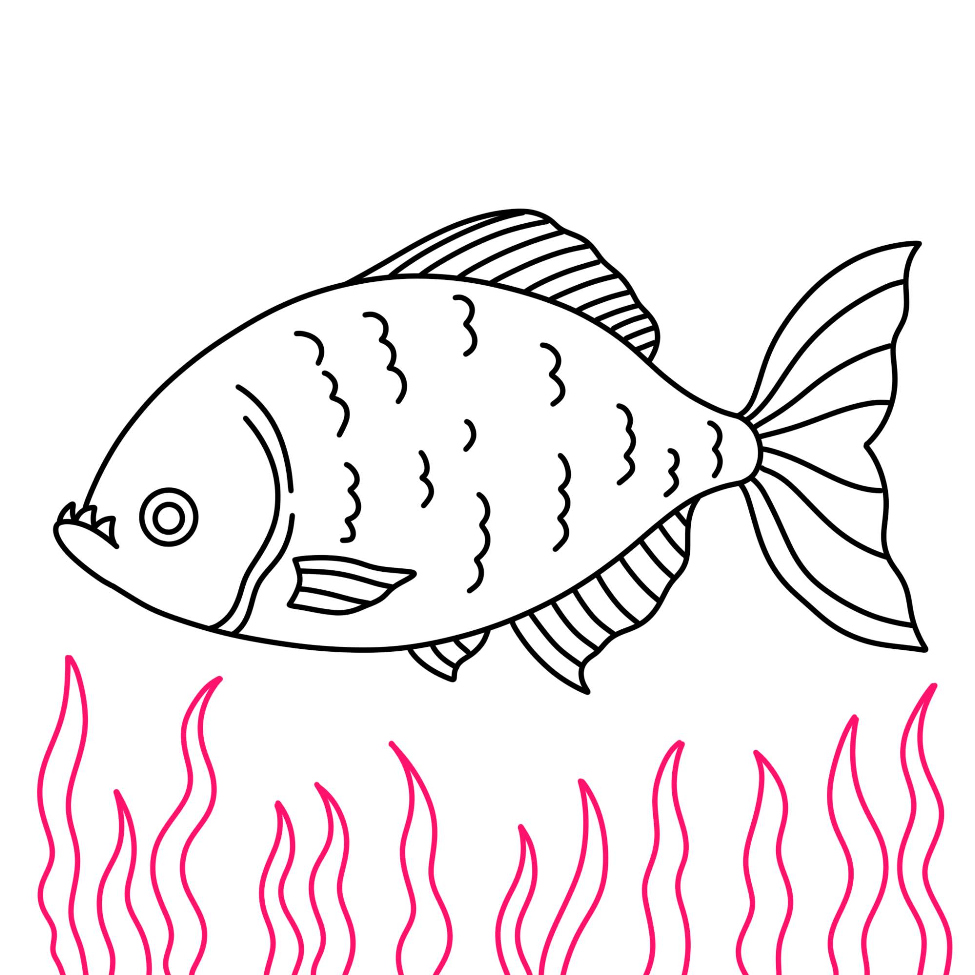 Piranha Drawing - Step-13