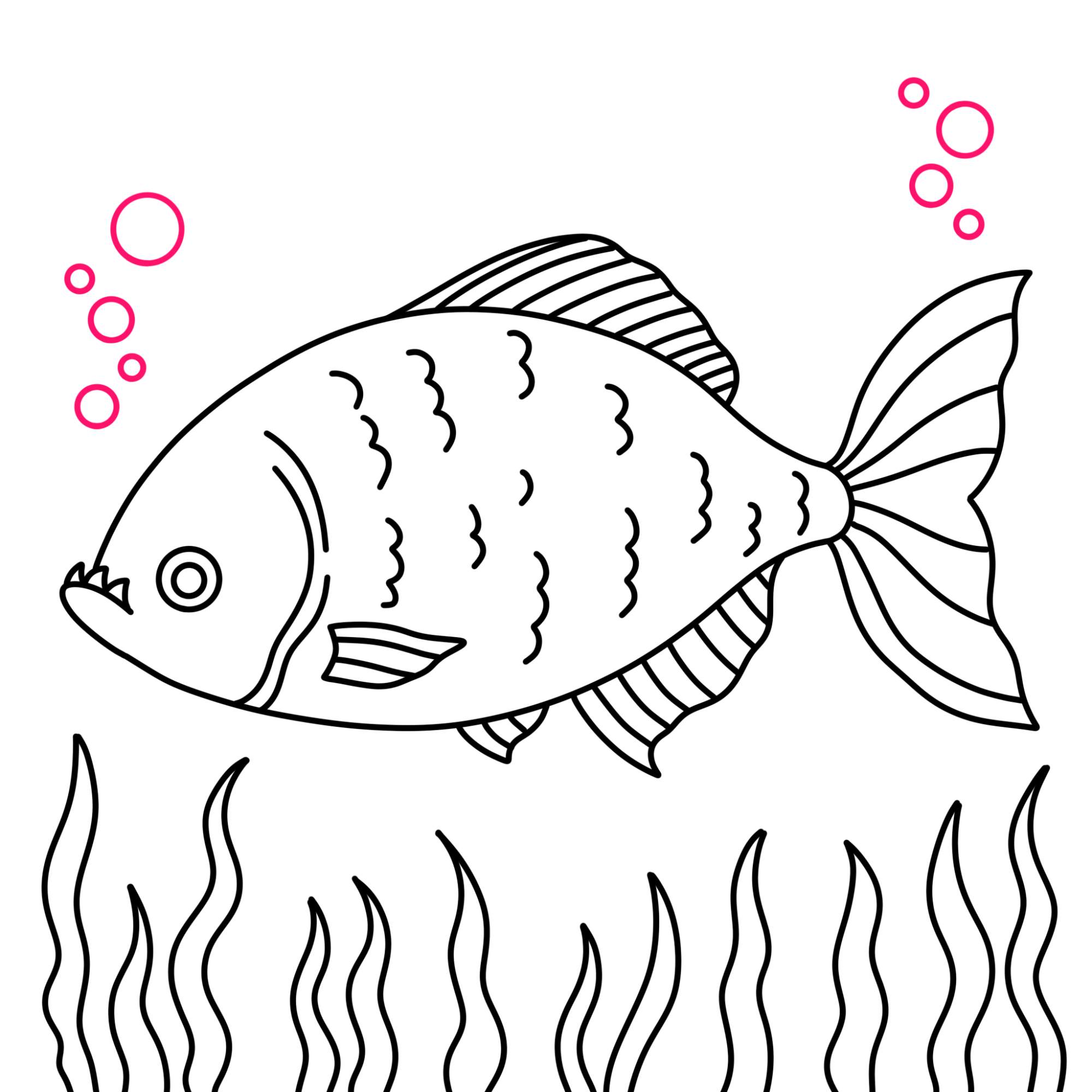 Piranha Drawing - Step-14