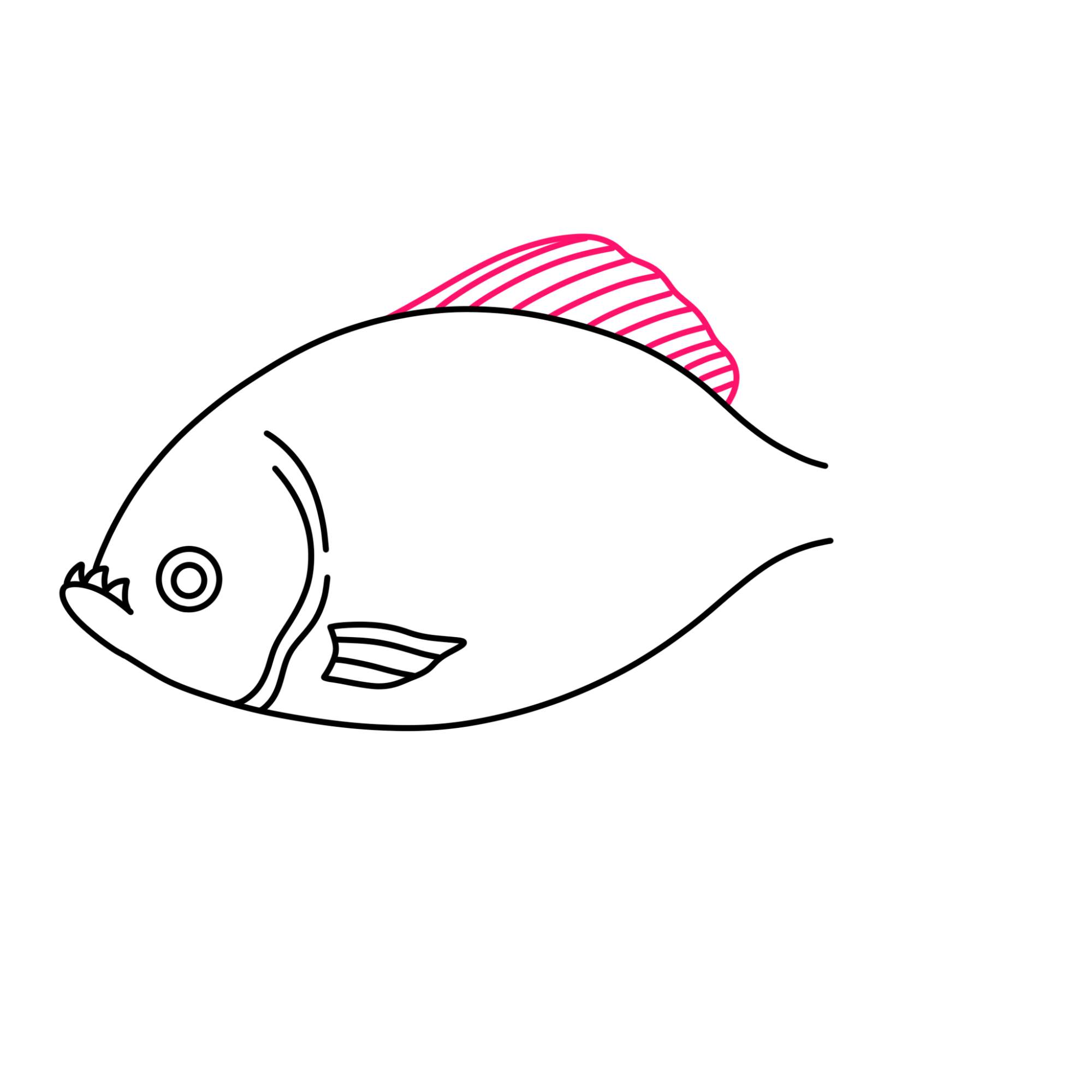 Piranha Drawing - Step-7