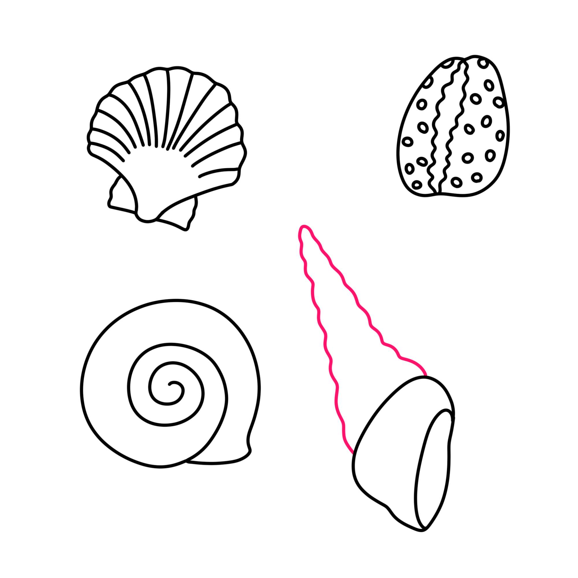 Sea Shell Drawing - Step-10