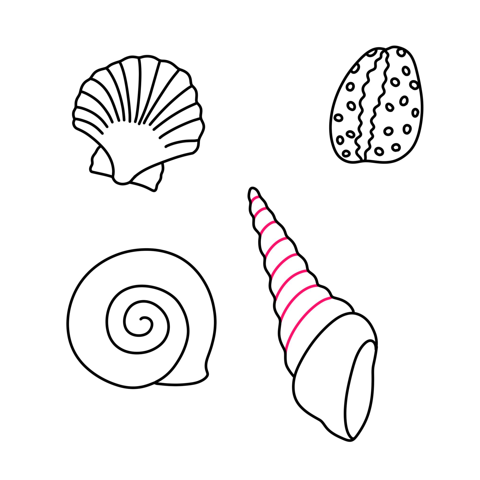 Sea Shell Drawing - Step-11