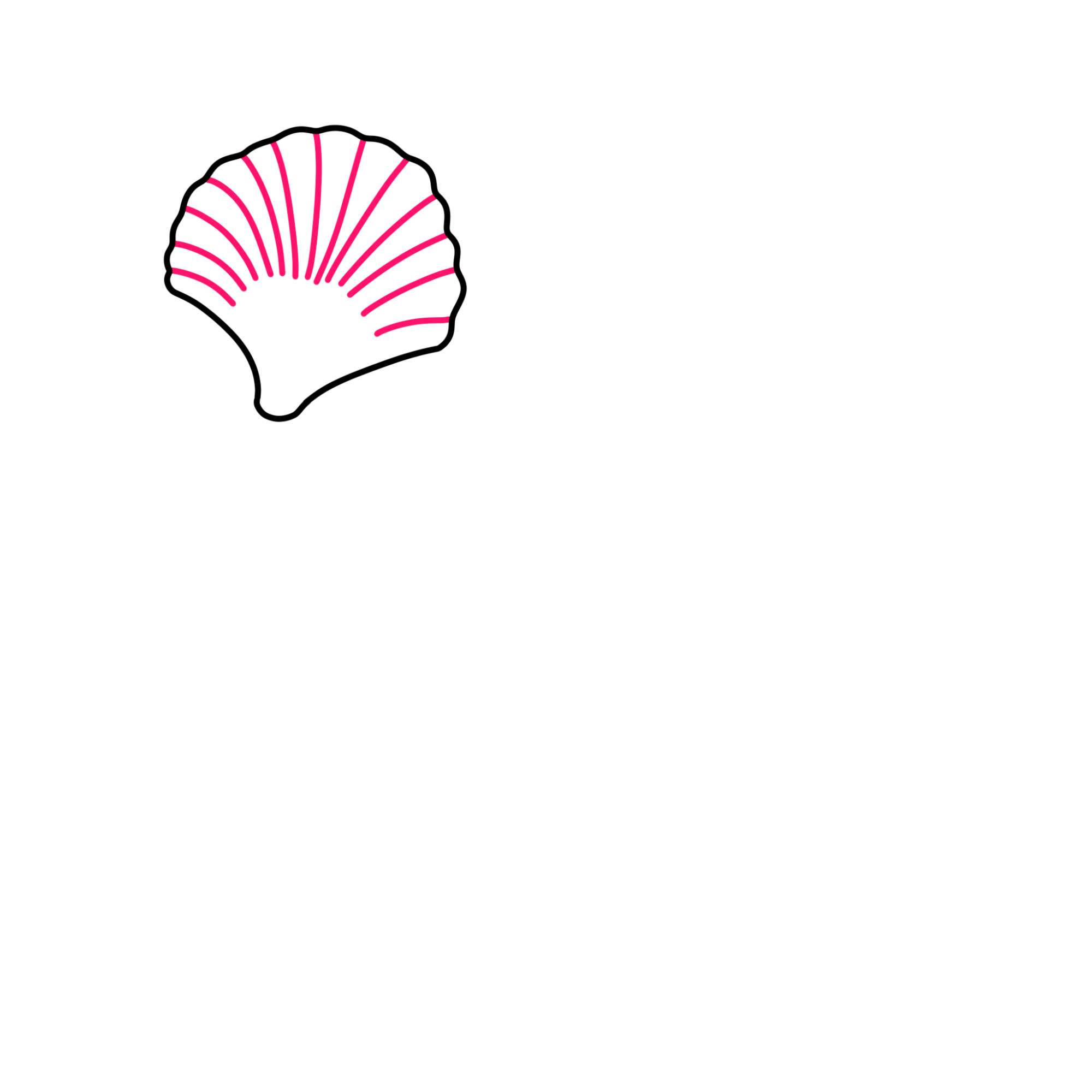 Sea Shell Drawing - Step-2