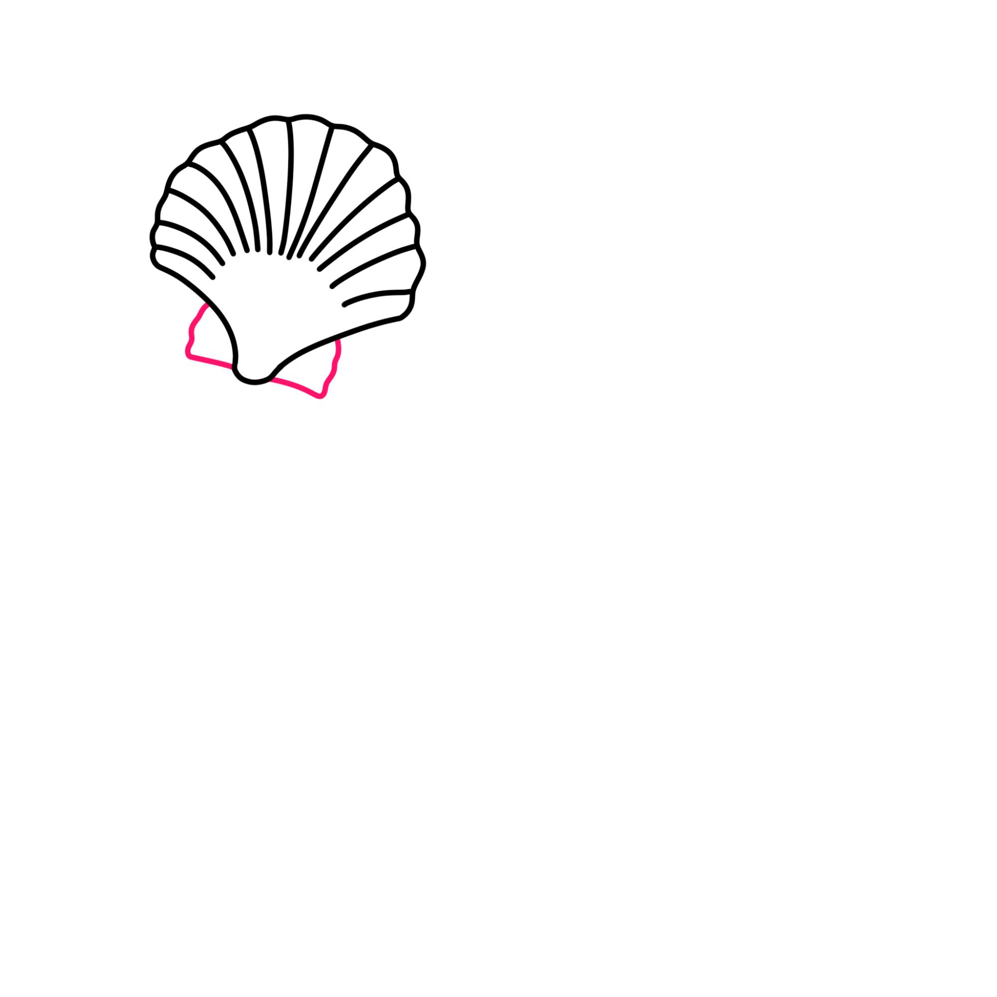 Sea Shell Drawing - Step-3