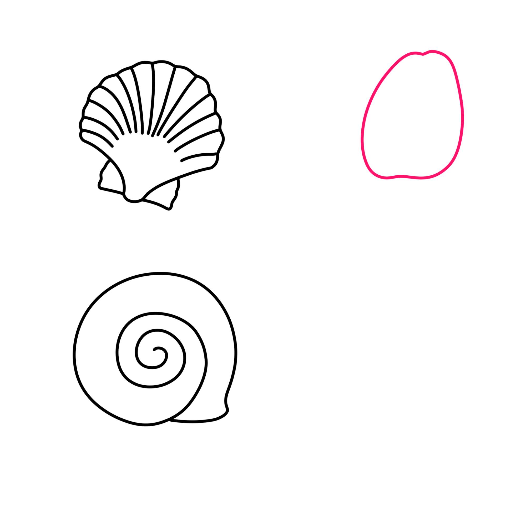 Sea Shell Drawing - Step-5