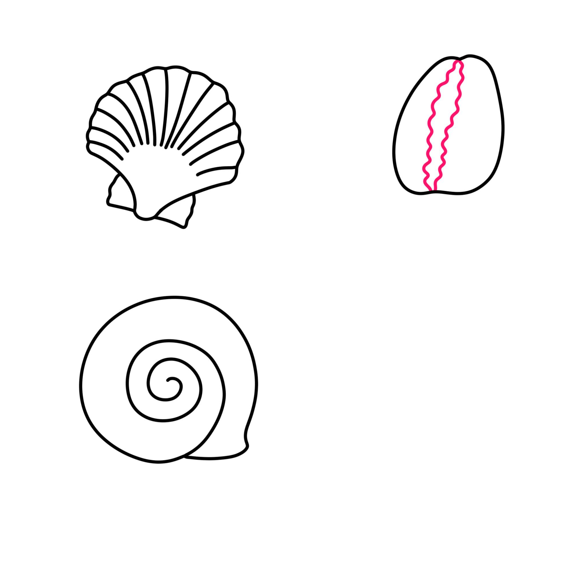 Sea Shell Drawing - Step-6