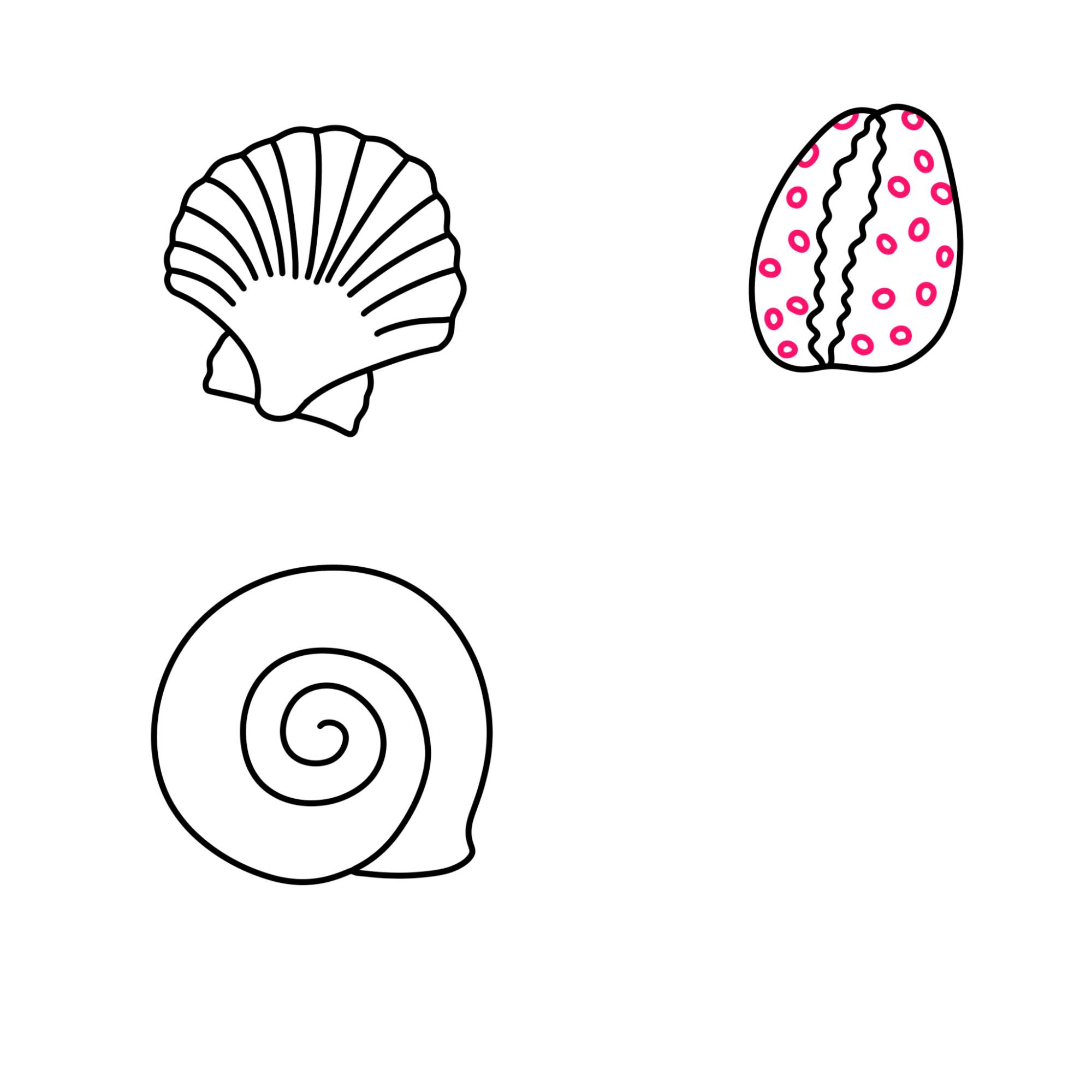 Sea Shell Drawing - Step-7