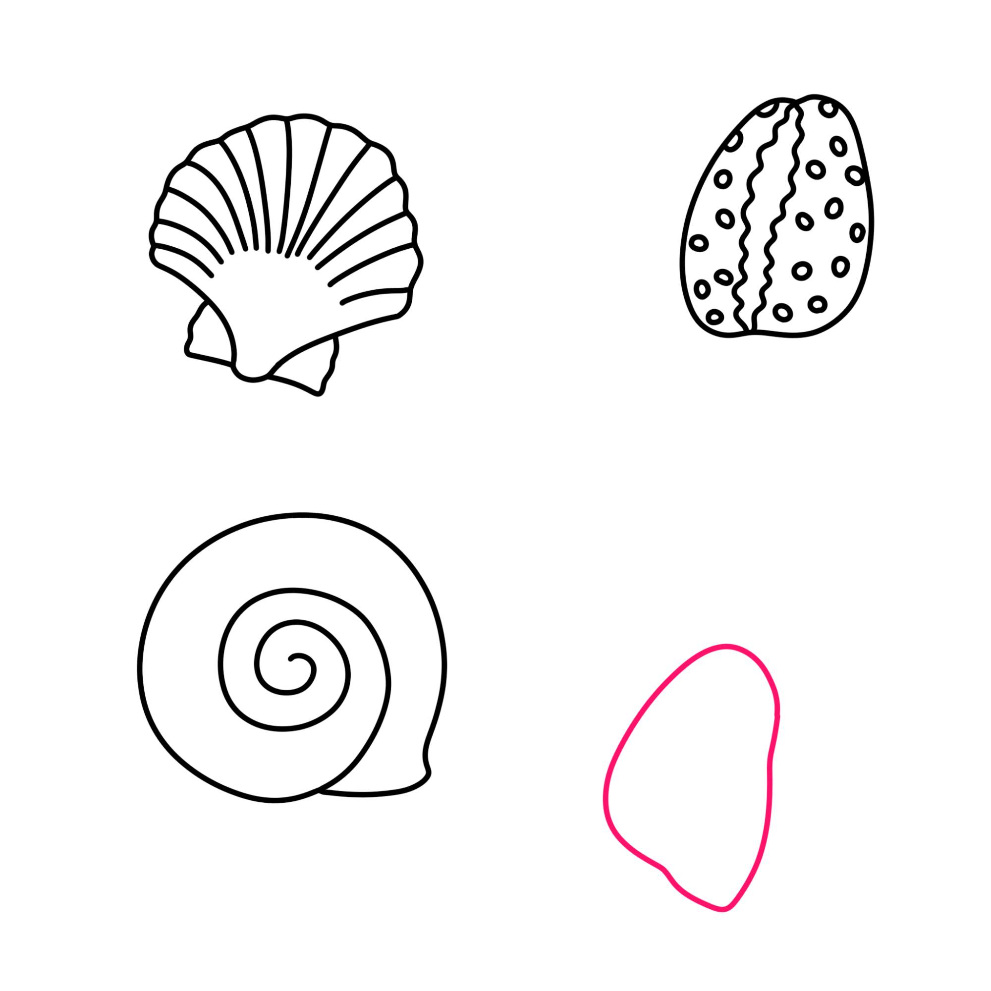 Sea Shell Drawing - Step-8