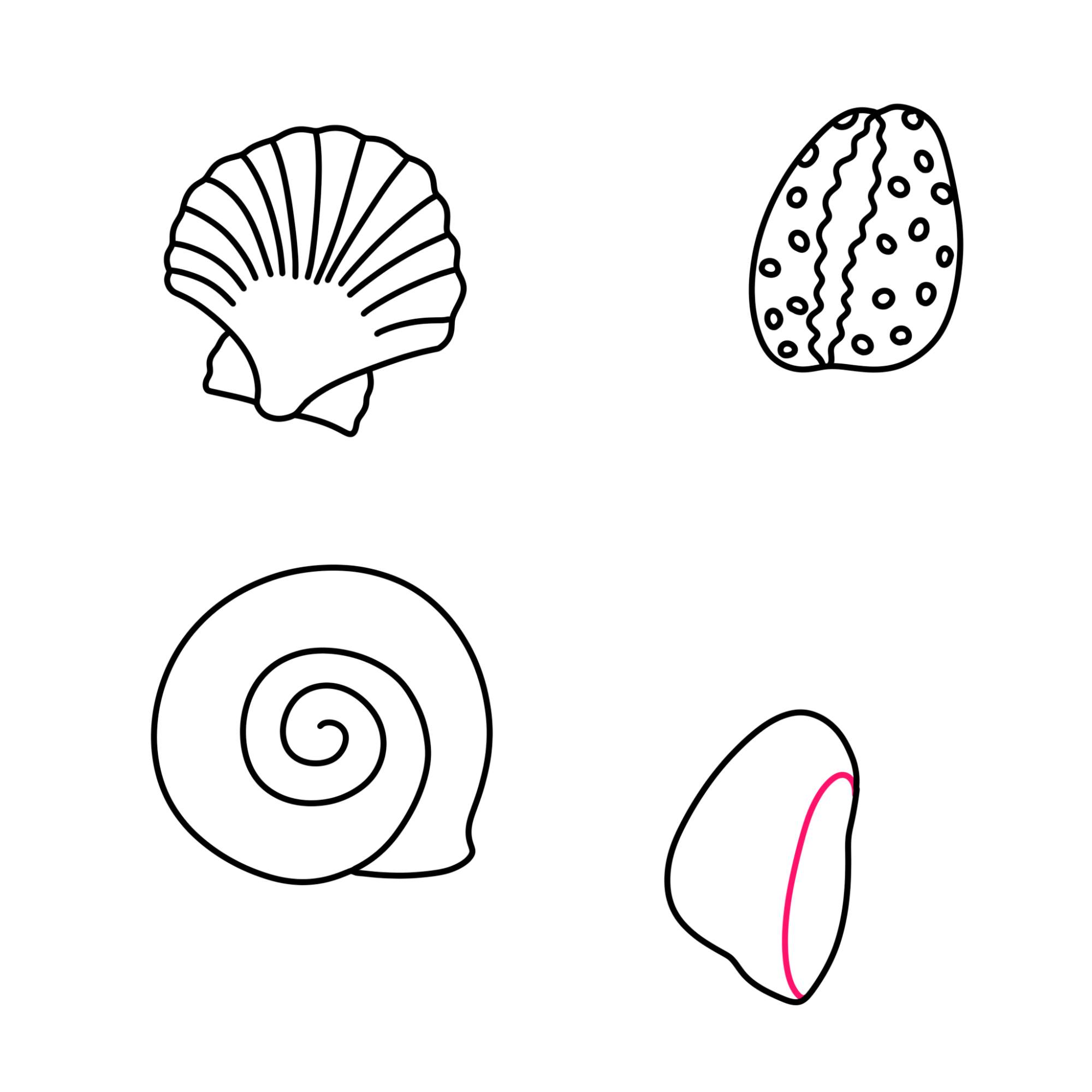 Sea Shell Drawing - Step-9