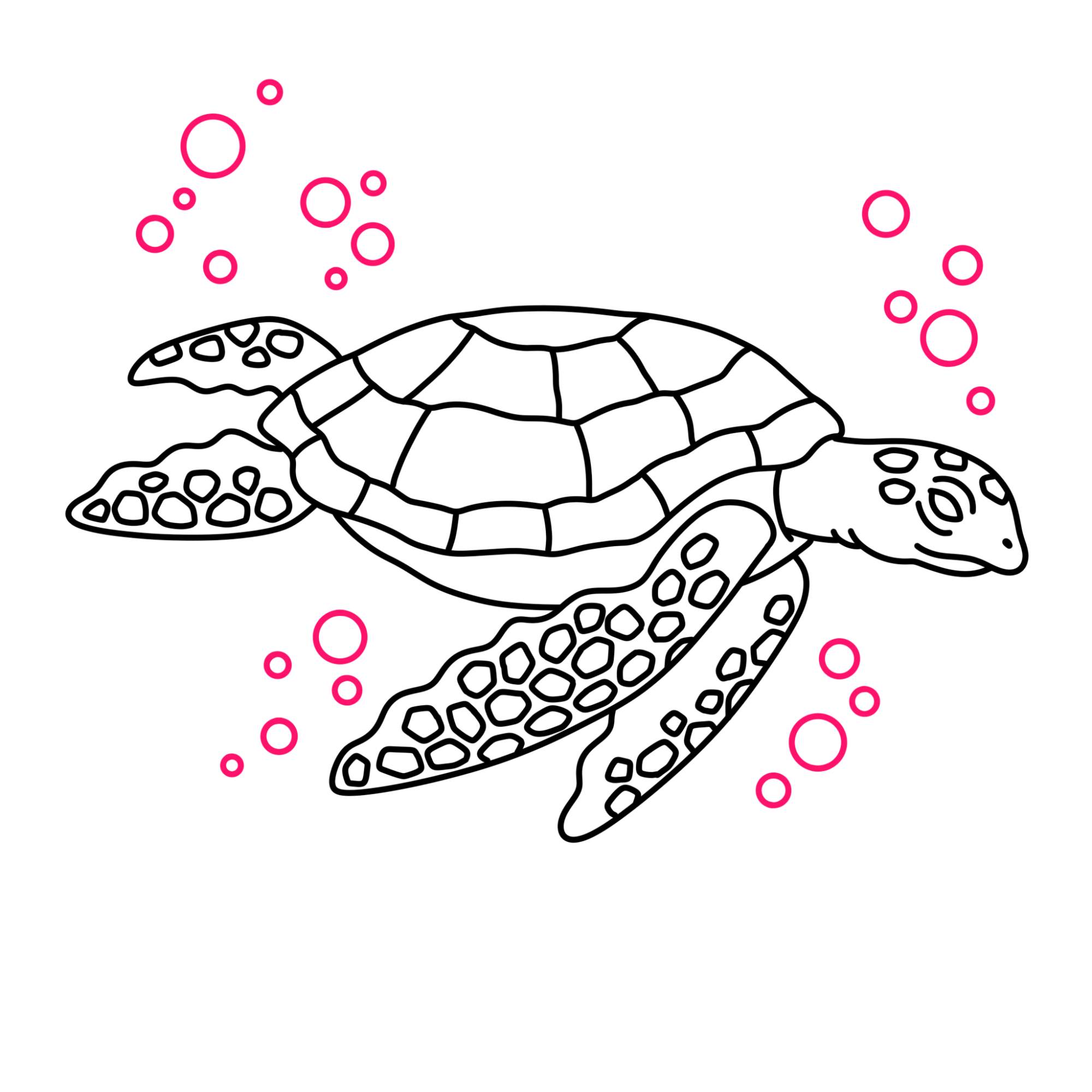 Sea Turtle Drawing - Step-10