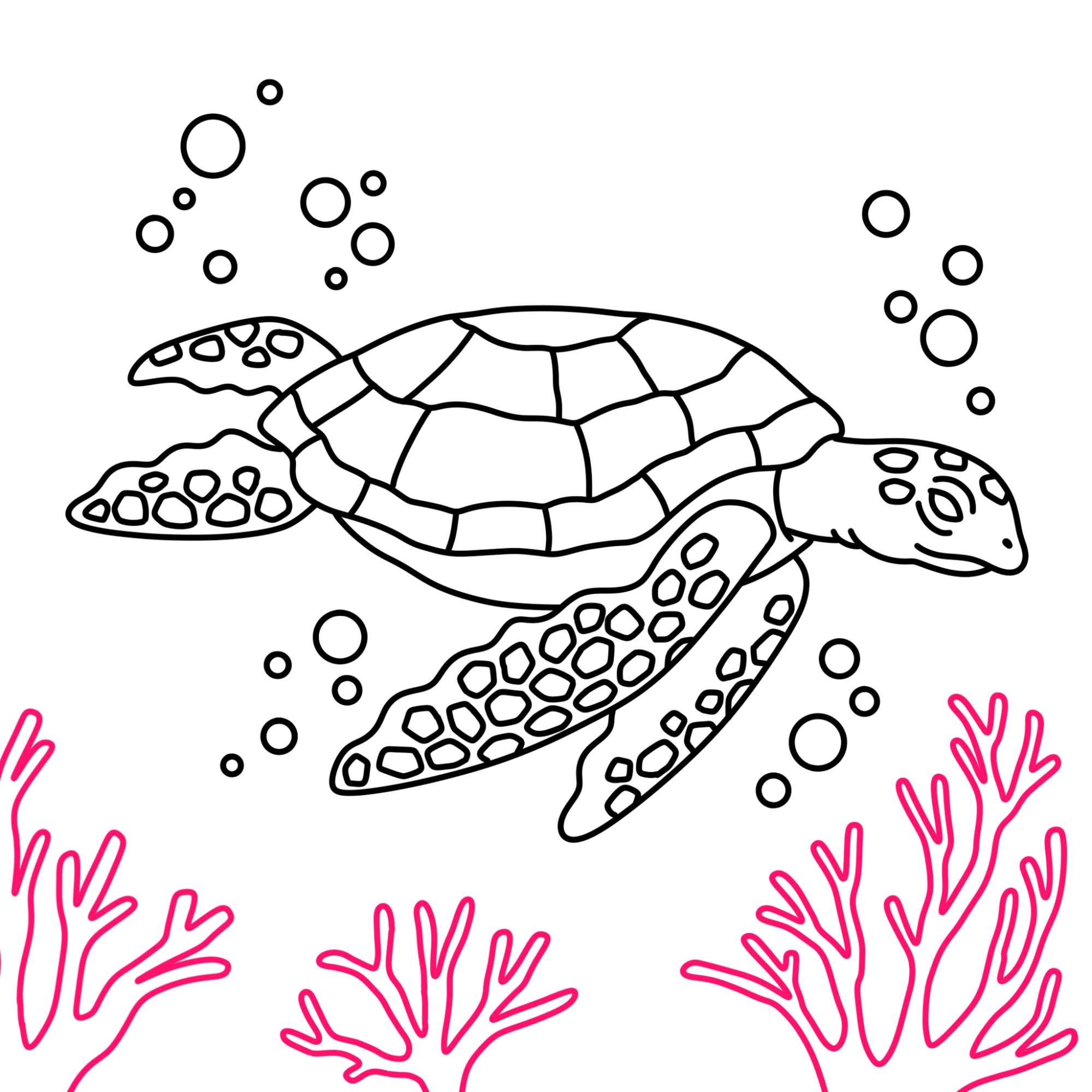 Sea Turtle Drawing - Step-11