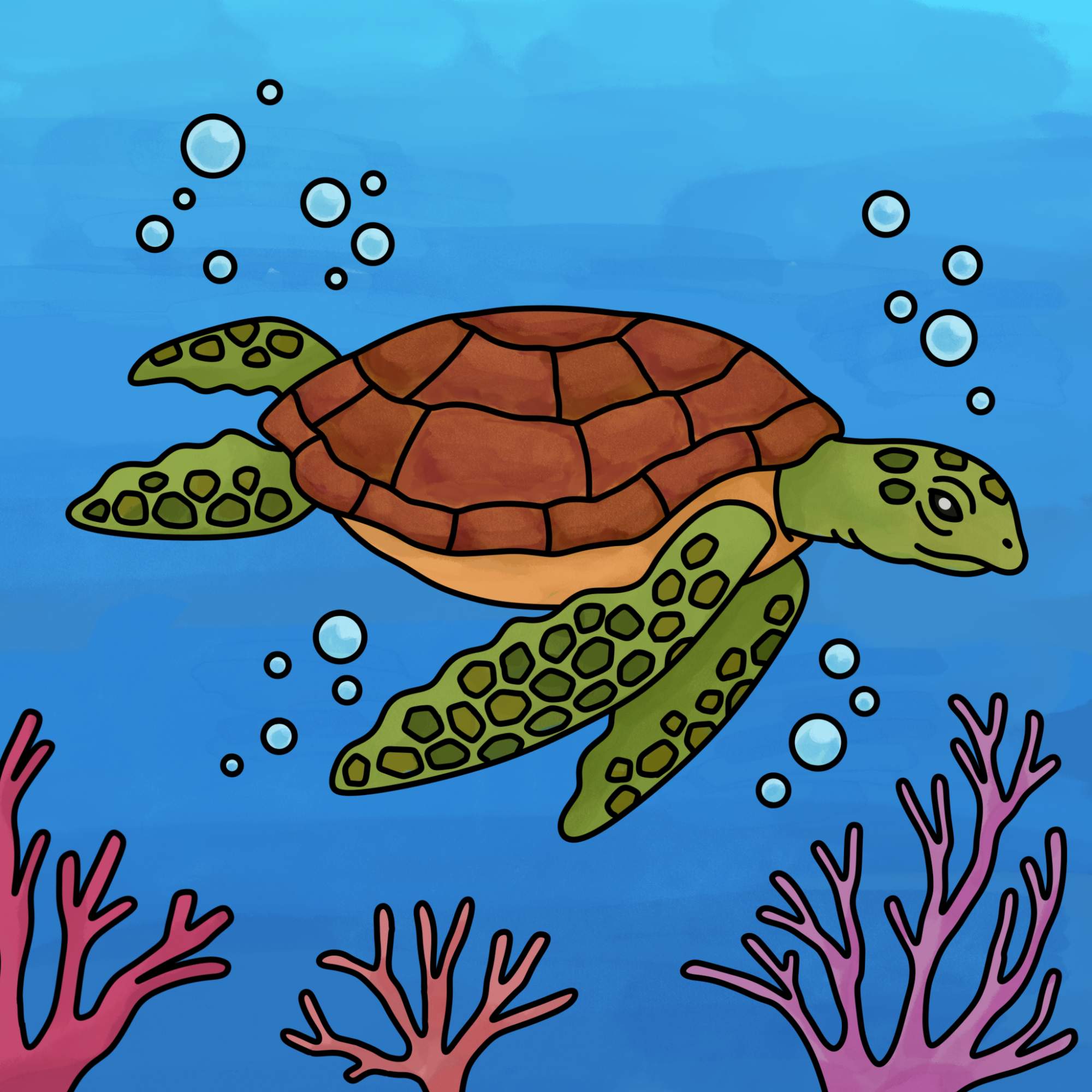 Sea Turtle Drawing - Step-15