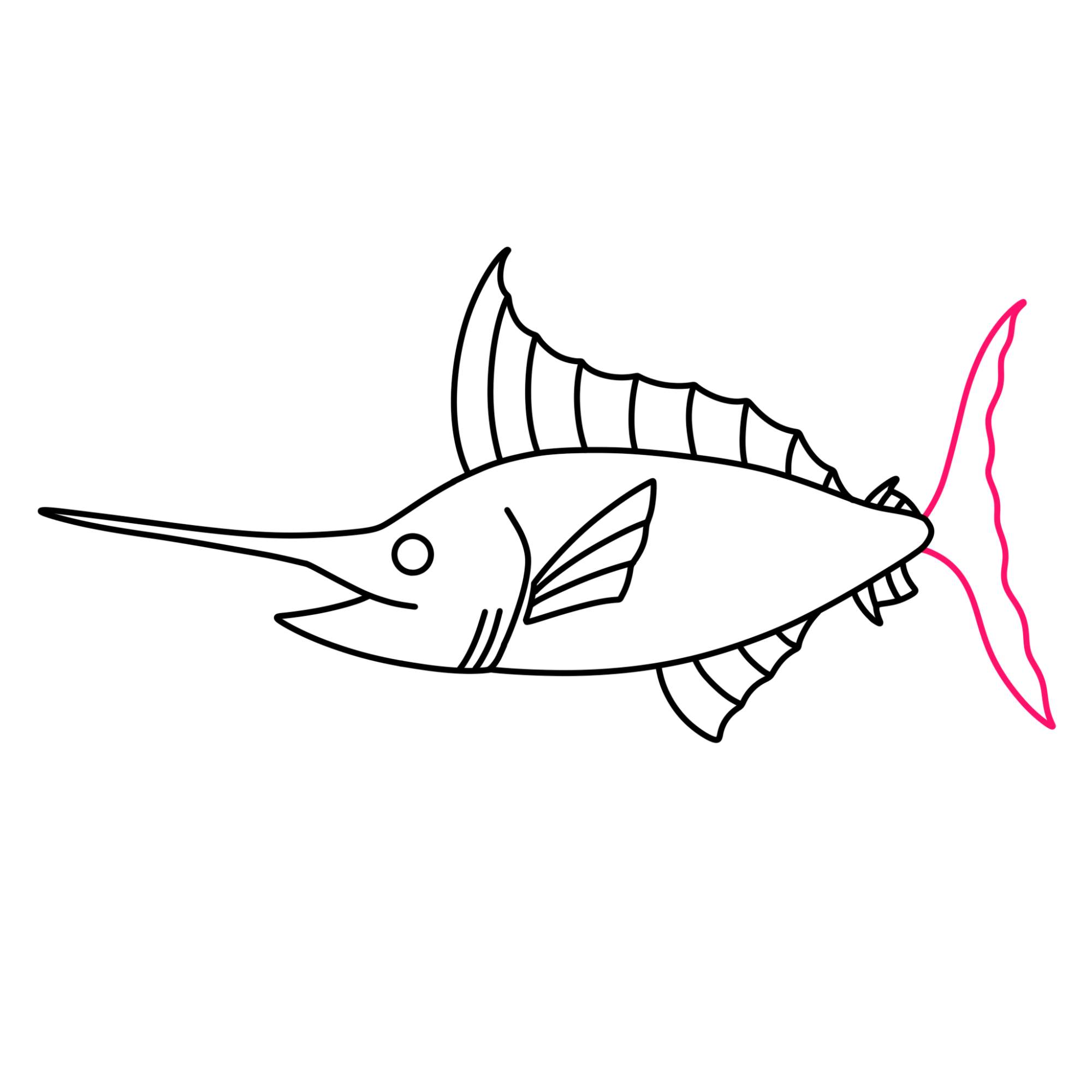 Swordfish Drawing - Step-11