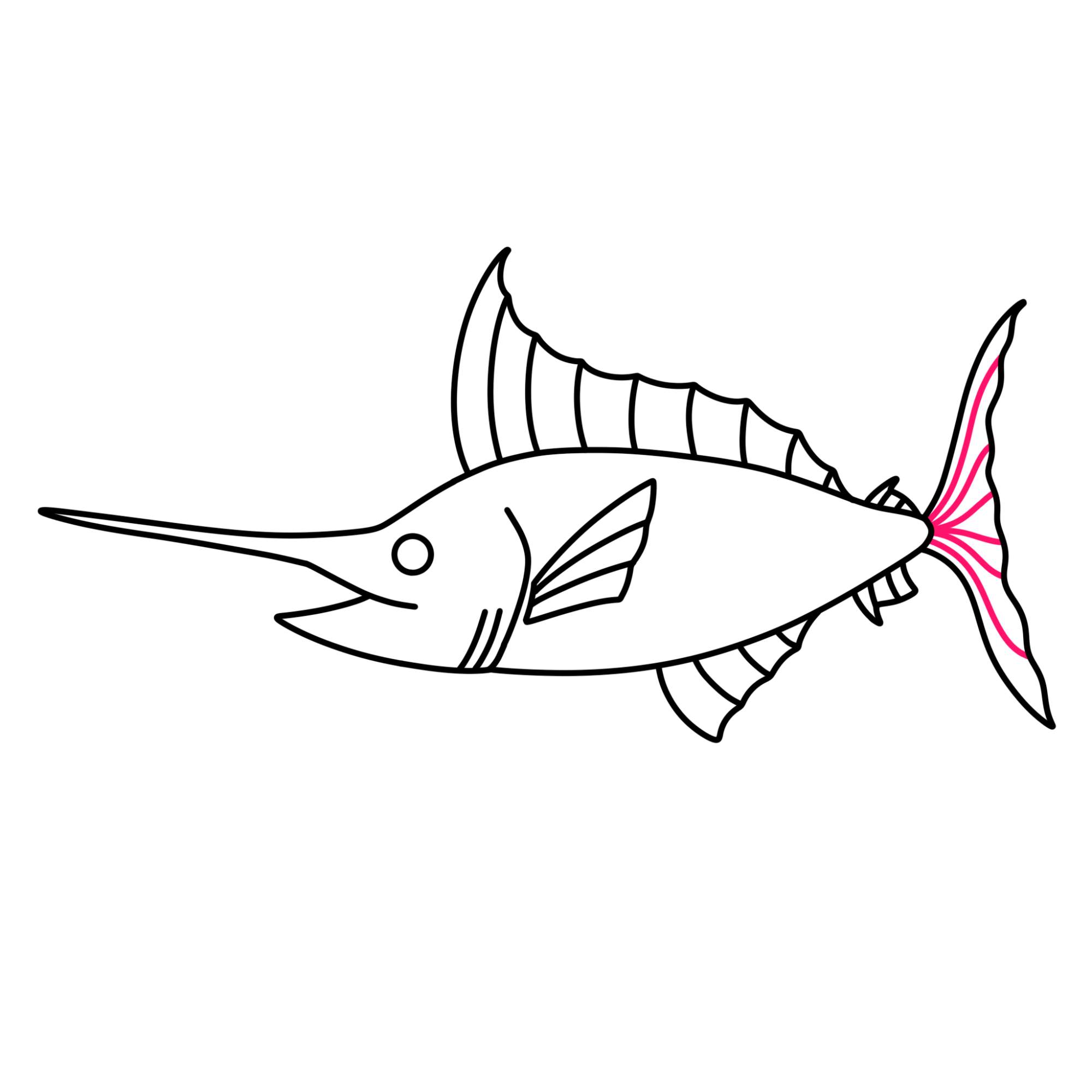 Swordfish Drawing - Step-12