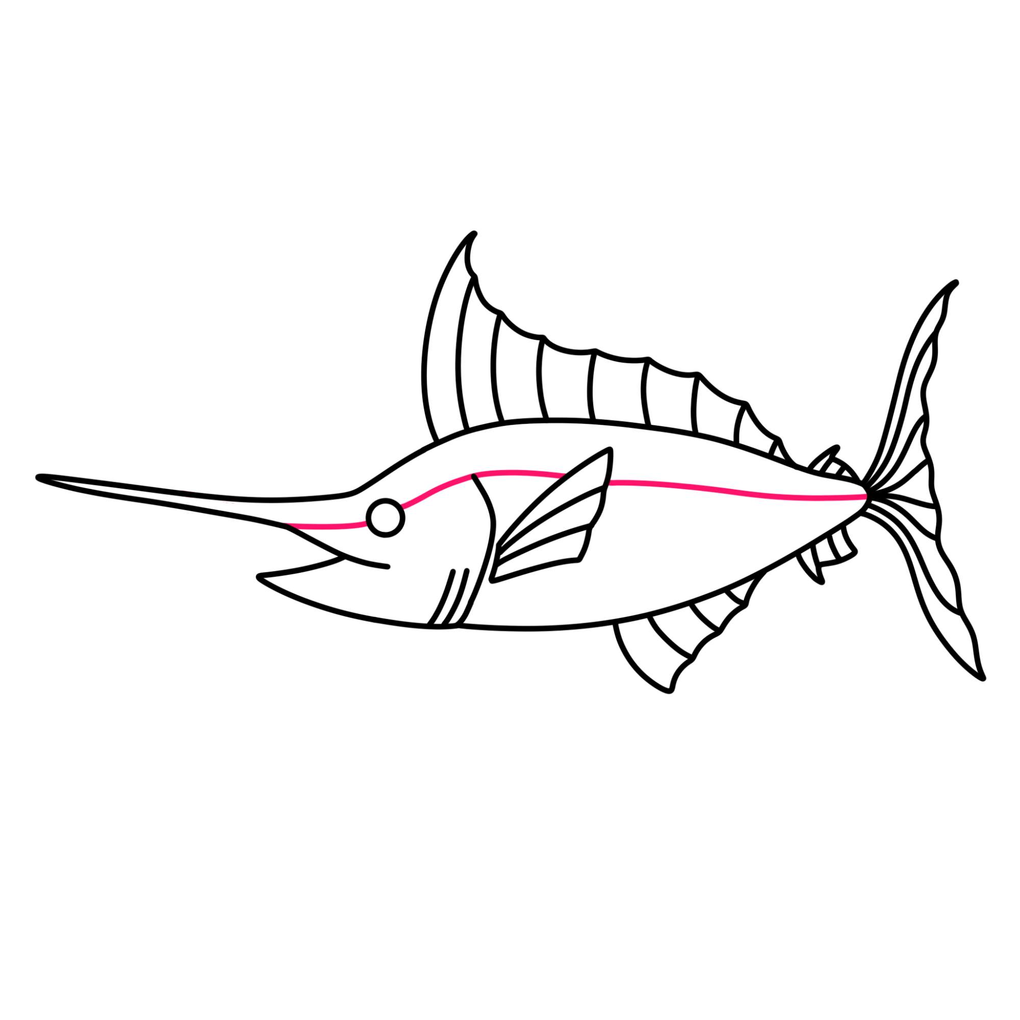 Swordfish Drawing - Step-13