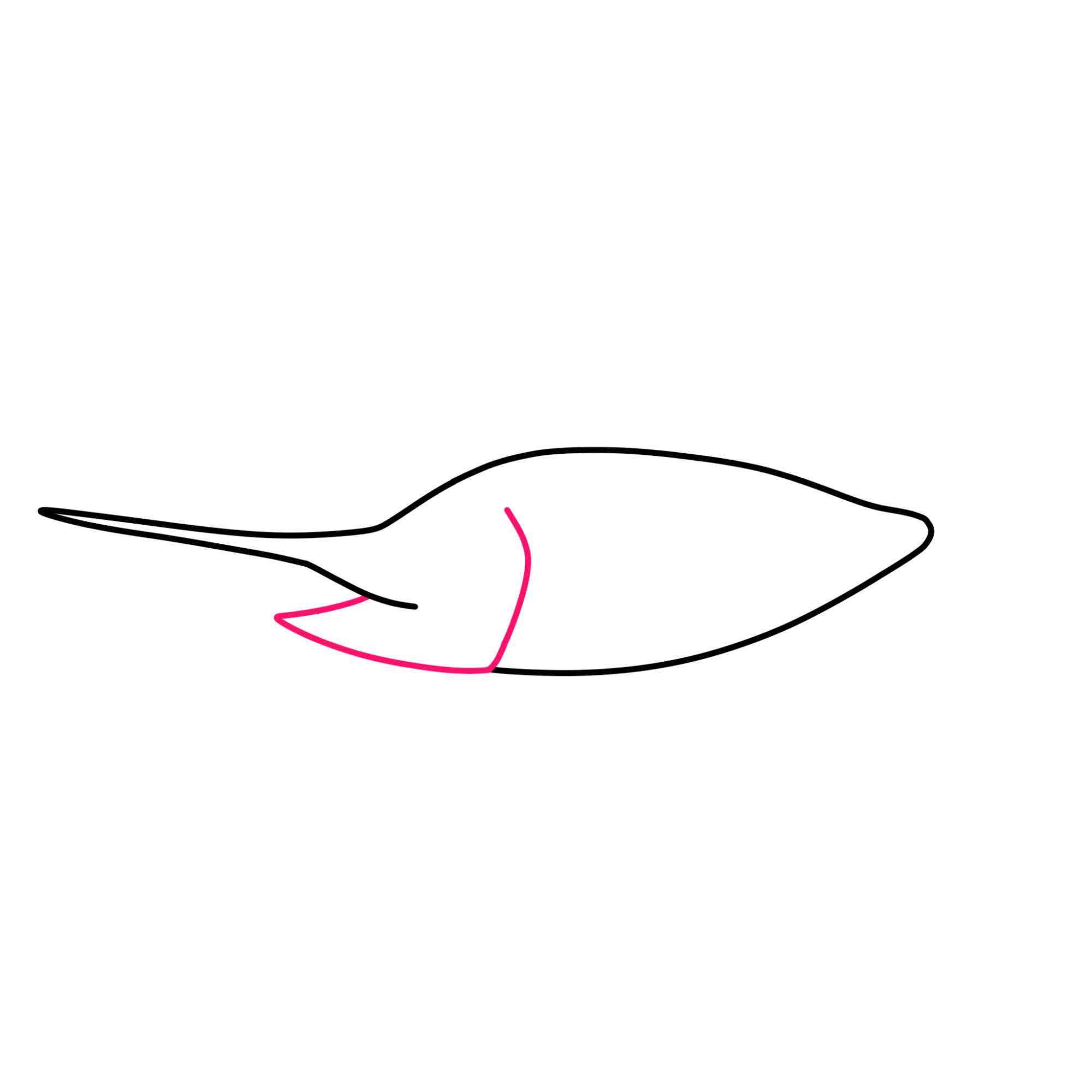 Swordfish Drawing - Step-3