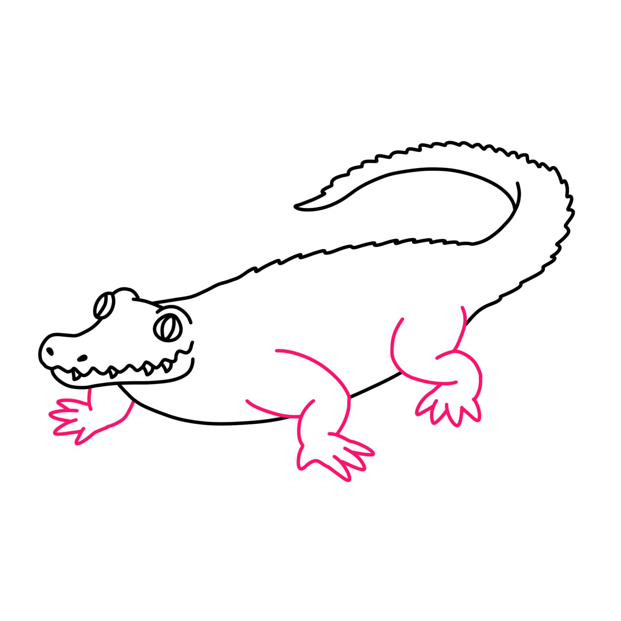 Crocodile Drawing for Kids - Step-10