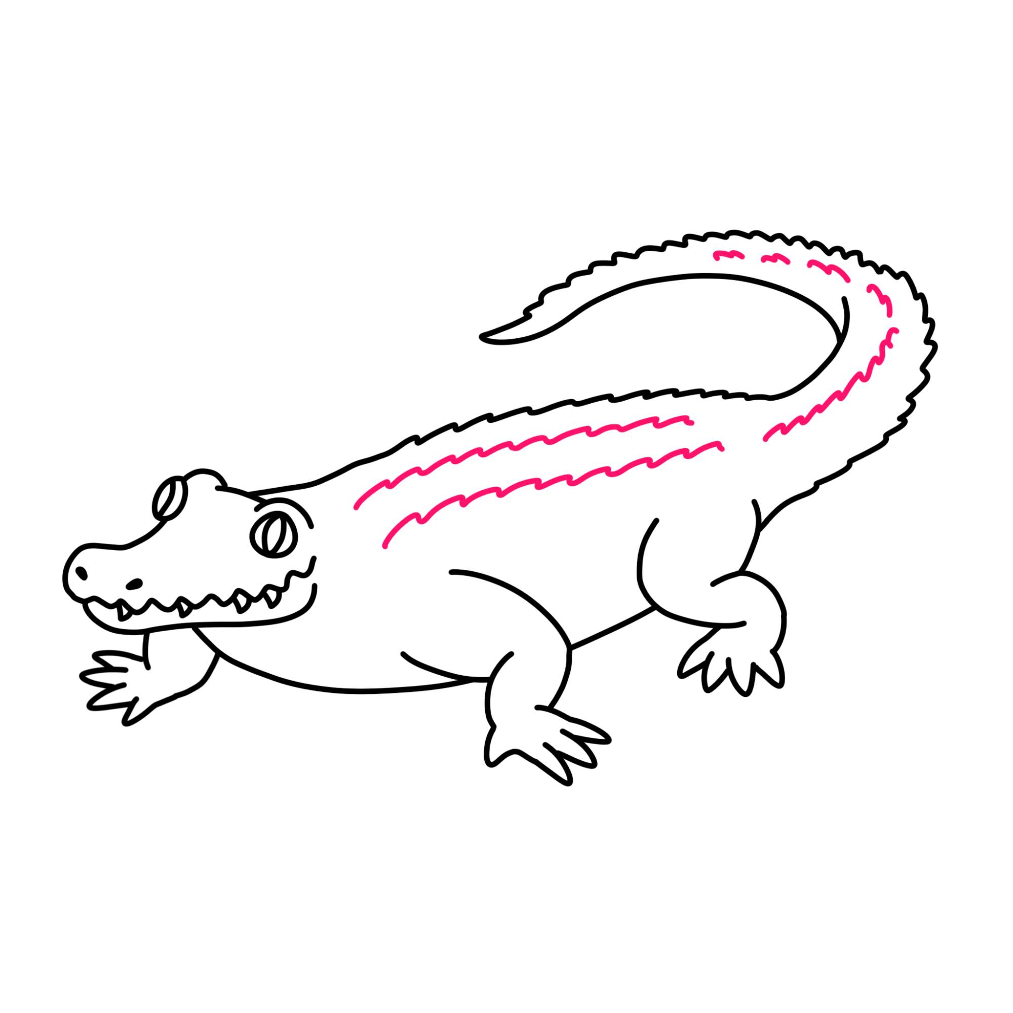 Crocodile Drawing for Kids - Step-11