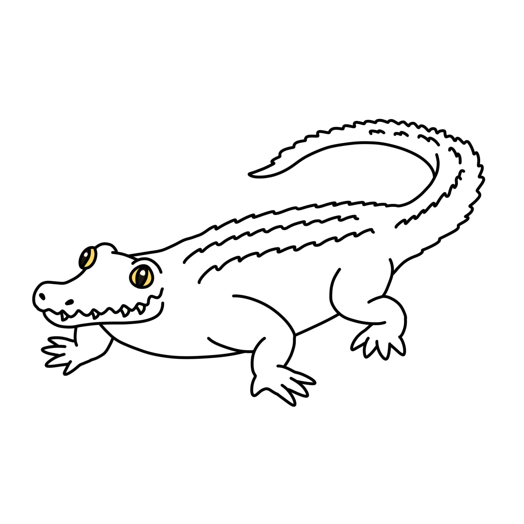 Crocodile Drawing for Kids - Step-12