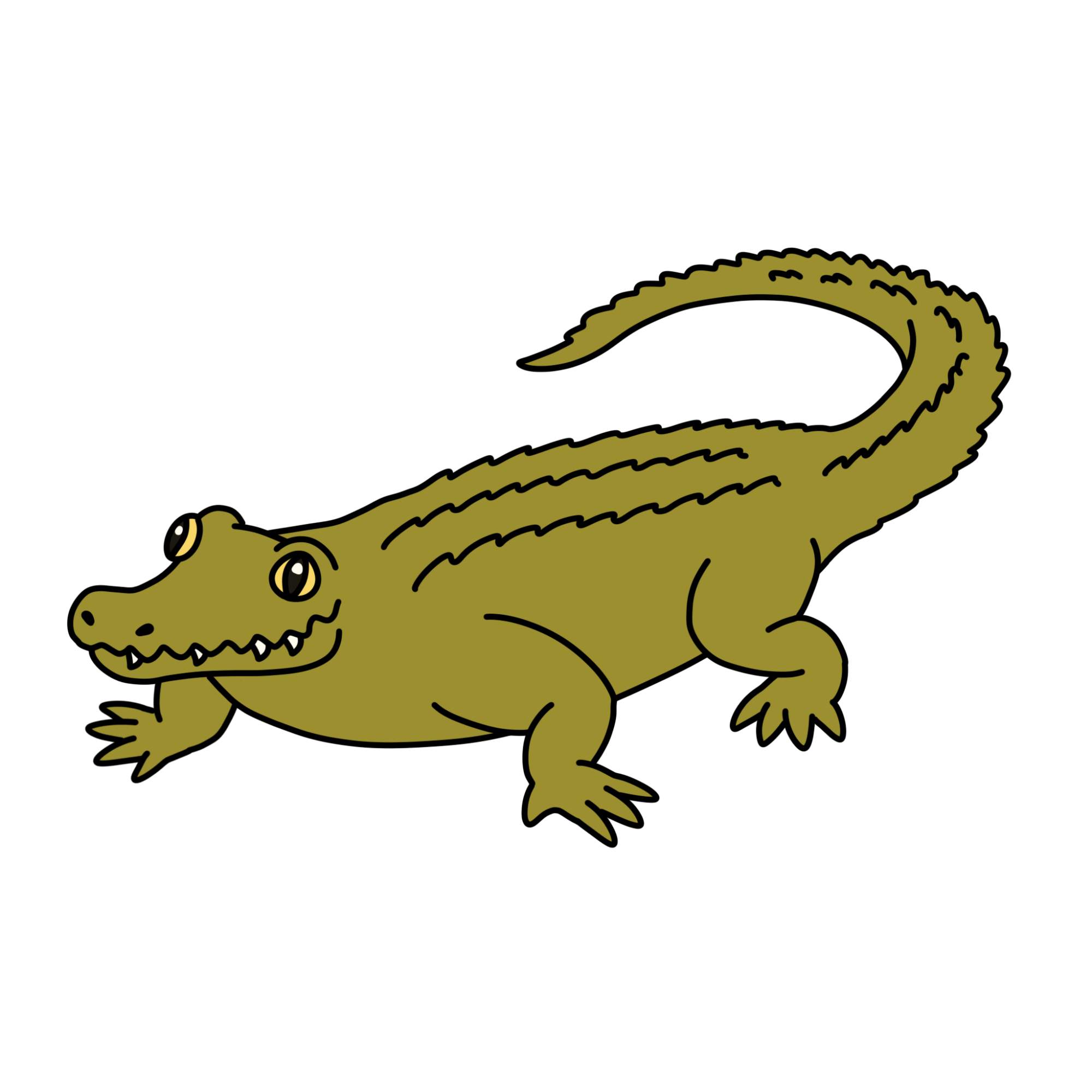 Crocodile Drawing for Kids - Step-13