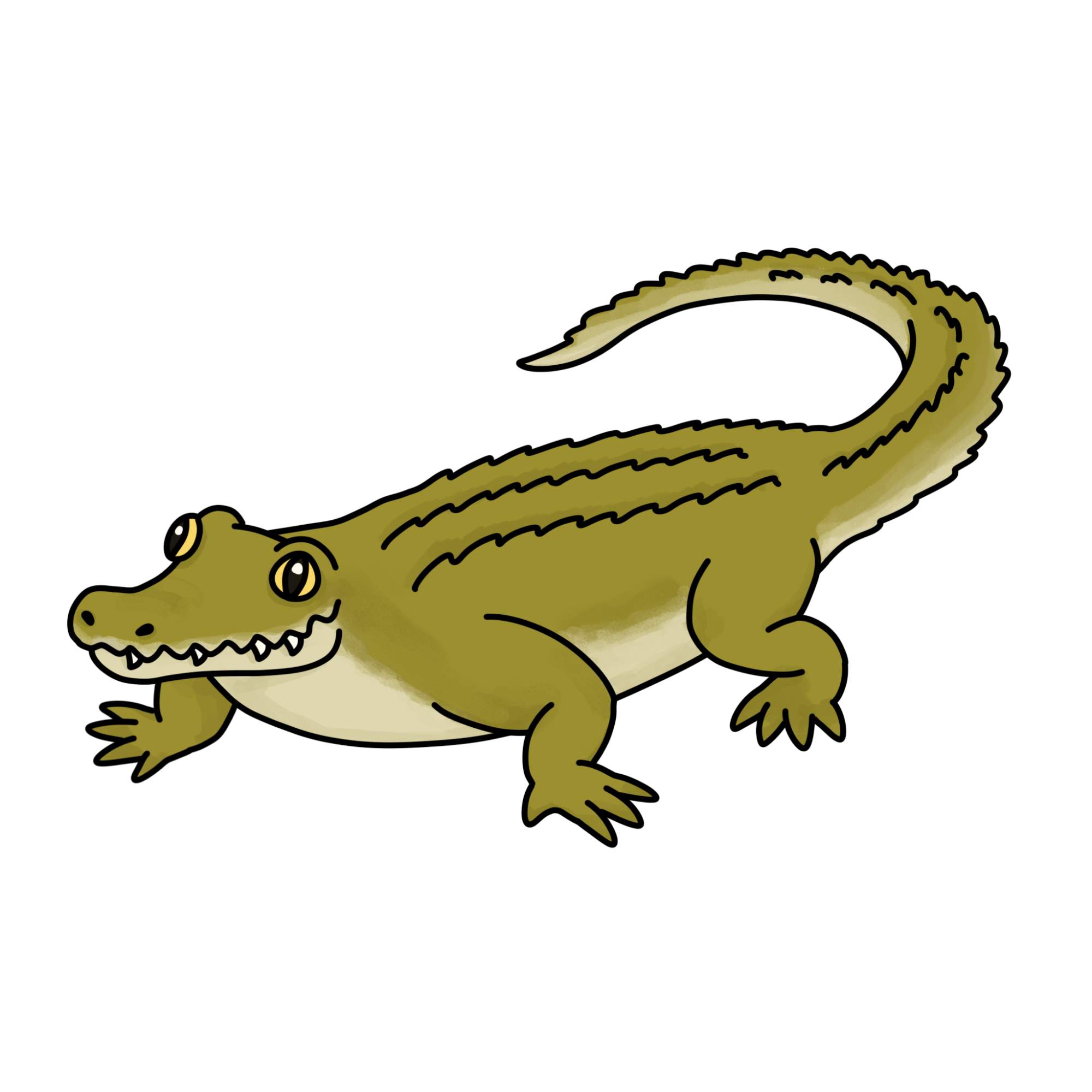 Crocodile Drawing for Kids - Step-14