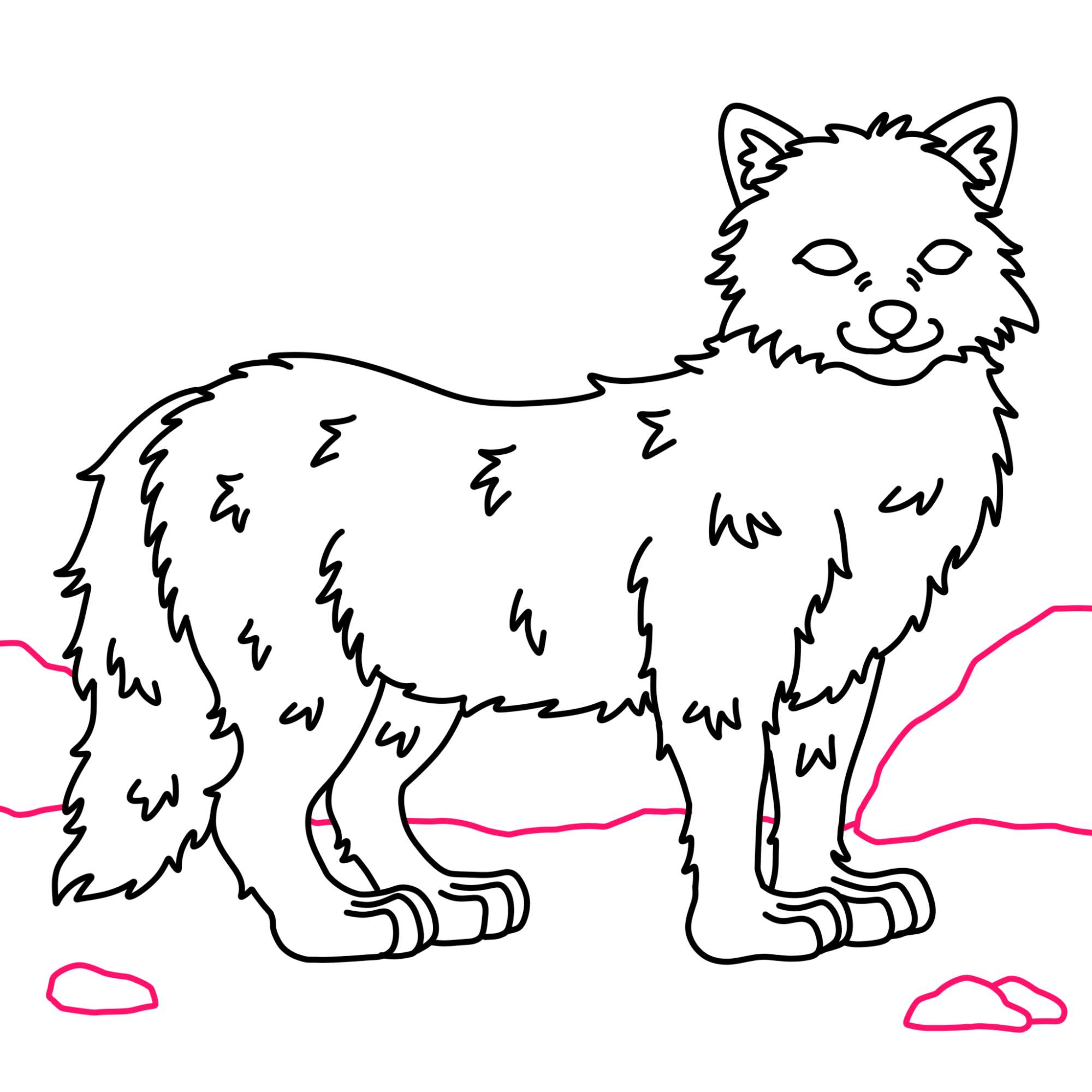 Draw an Arctic Fox - Step-10