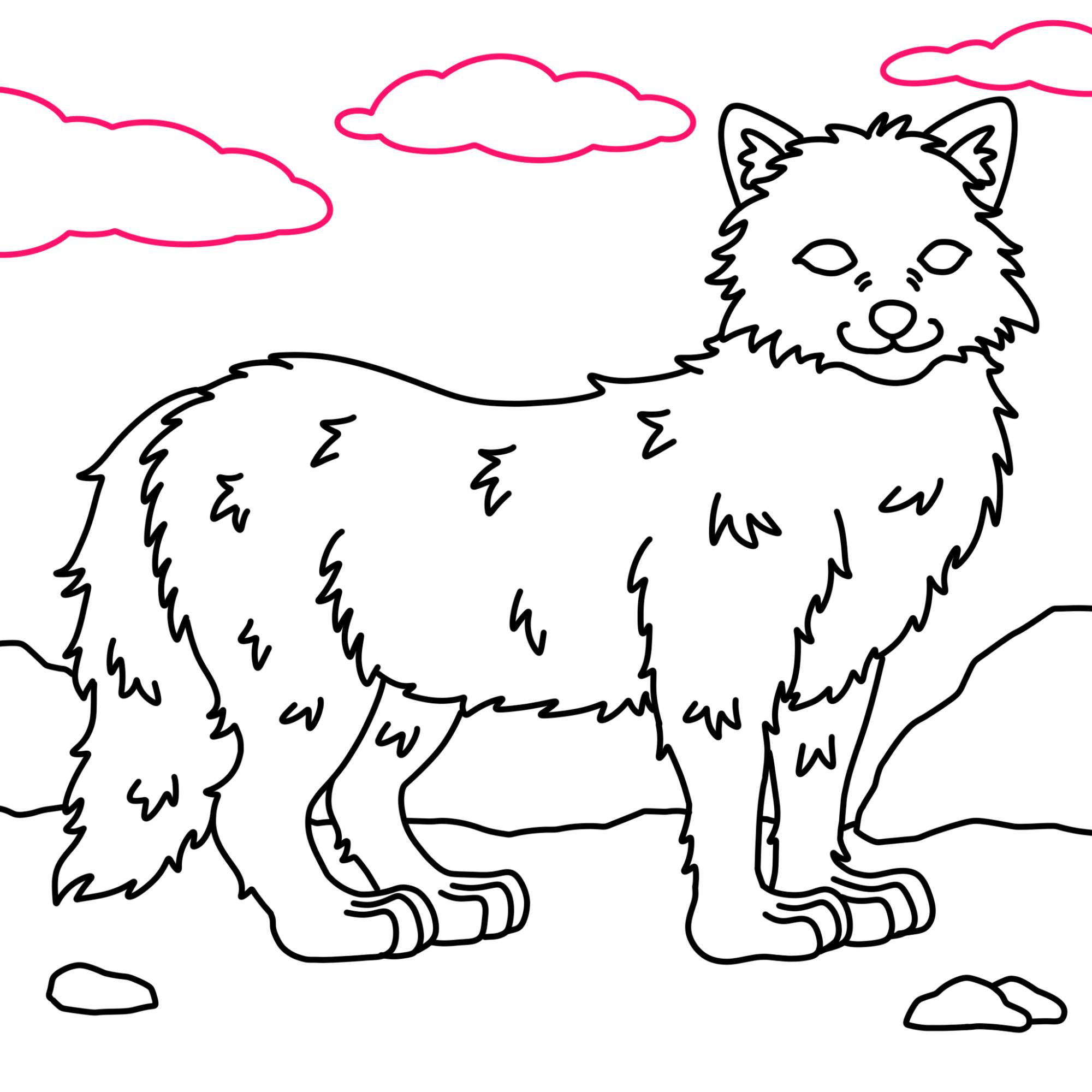 Draw an Arctic Fox - Step-11