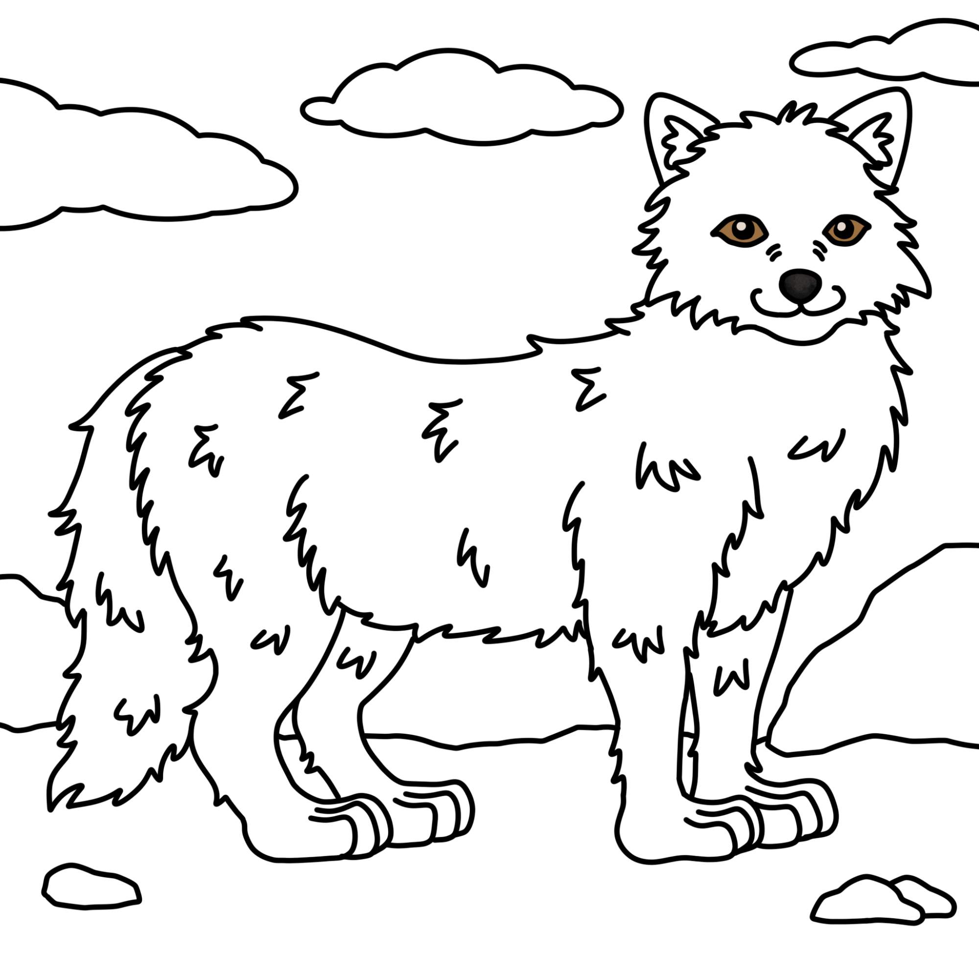 Draw an Arctic Fox - Step-12