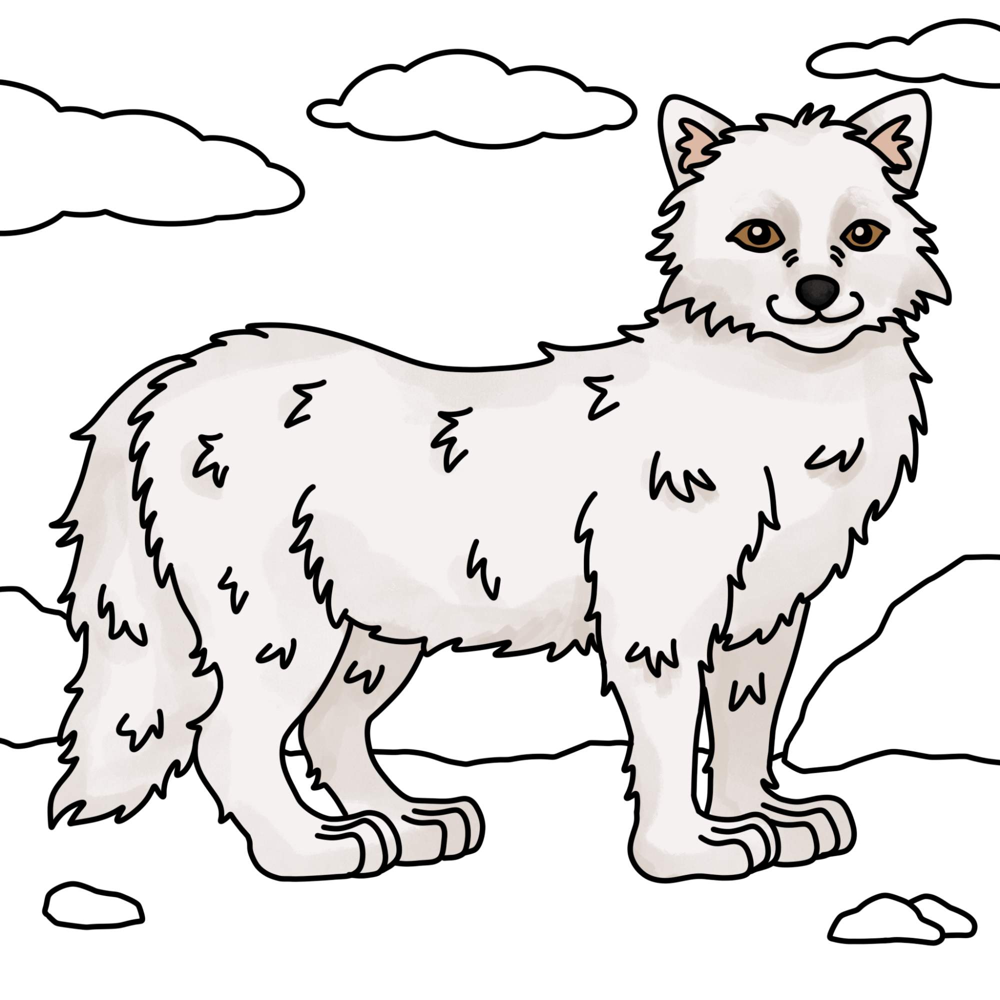 Draw an Arctic Fox - Step-13