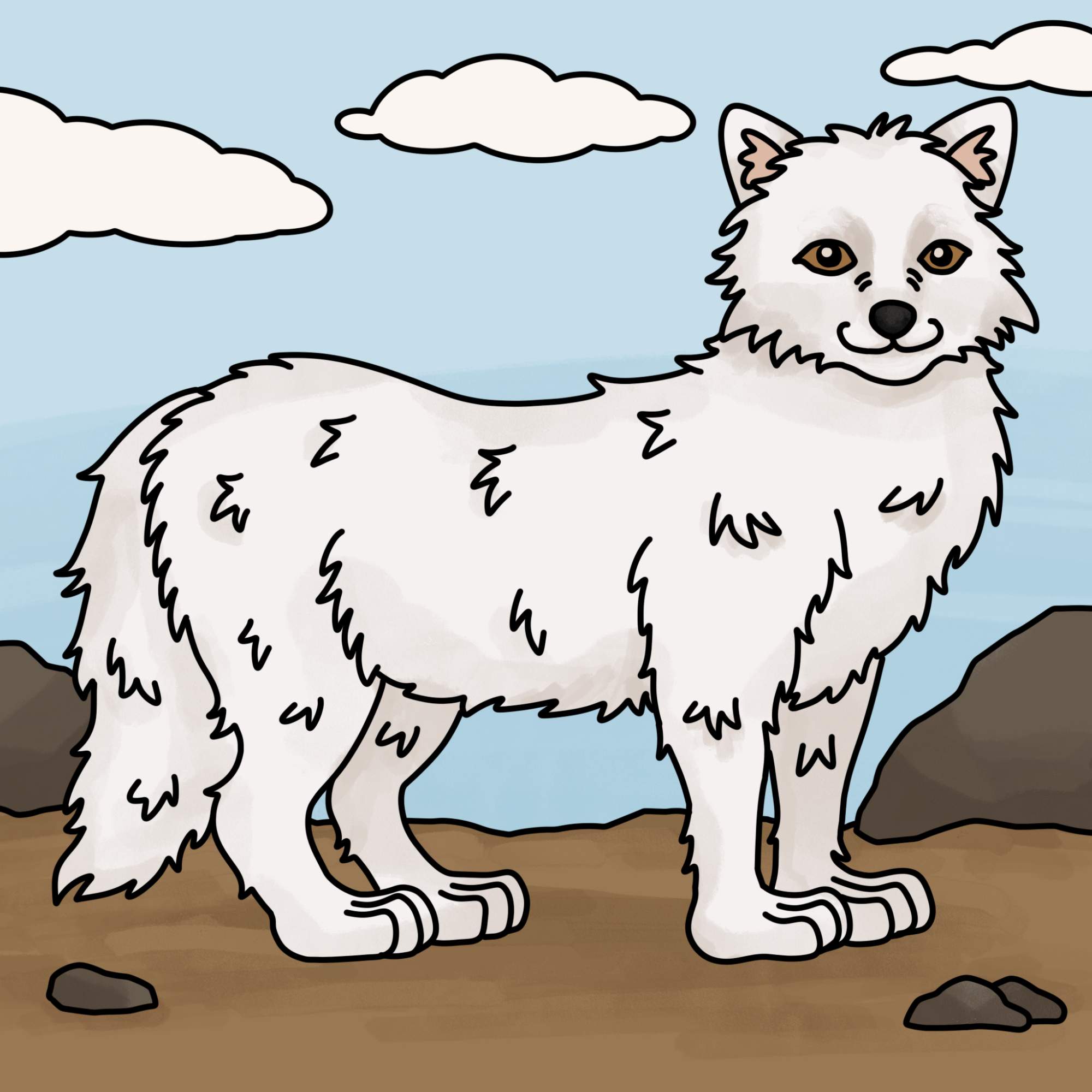 Draw an Arctic Fox - Step-15